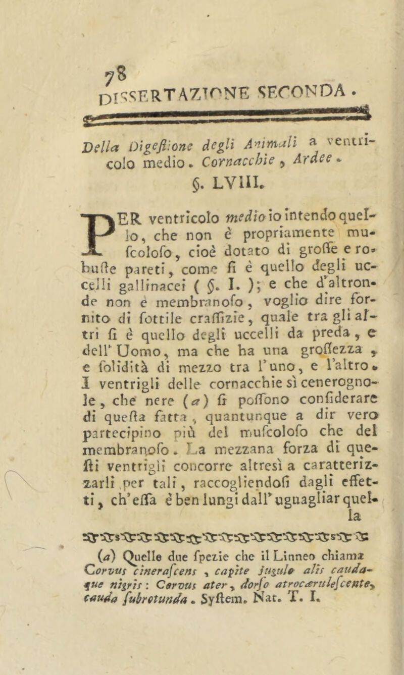 Oi^SKRTAZTr^NE SECONDA . Della Oìgejiìone degli Ammali a venti'i- colo medio. Cornacchie , Ardee * $. LVIII. PER. ventricolo io intendo quel- lo, che non è propriamente mu- fcolofo, cioè dotato dì groffe e ro- buRe pareti, come fi è quello degli uc- celli gallinacei ( $• I* ^ d altron- de non e membranofo , voglio dire for- nito di rottile craffizie, quale tra gli al- tri fi è quello degli uccelli da preda, e deir Uomo, ma che ha una grofiezza e folidità di mezzo tra l’uno, e l’altro* I ventrigli delle cornacchie sì cenerogno- le , che nere (a) ft pofibno confiderare di quella fatt.a , quantunque a dir vera partecipino più del rriufcolofo che del membranofo. La mezzana forza dì que- lli ventrigli concorre altresì a caratteriz- zarli,per tali, raccogliendoli dagli effet- ti, ch’efTa è ben lungi dall’uguagliar quel- la {a) Quelle due fpezie che il Llnnef) chiami Corvuf cìnerafeens , capite juguh alh cauda- nìgrÌT : Ctrvus atery dorjo atroc^ertelefcentey cauiia fubretunda • Syftem, Nat. T. I.