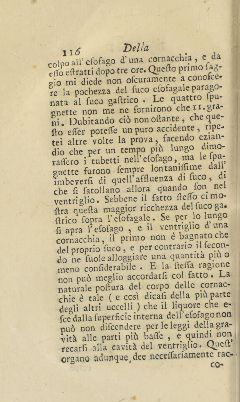 colpo all’efofago d’una cornacchia, e eia e?ro eRratti dopo tre ore. QueRo aio mi diede non ofeuramente a conofee- ?e la pochezza del fuco efofagale parago- nata al fuco gaRrico . Le ^P'^; cnette non me ne fornirono cheii-gt^ ni. Dubitando ciò nonoRante , cheque- Ro eRer poteffe un puro accidente, ripe- tei altre volte la prova, facendo ezian- dio che per un tempo piò lungo dimo- raRero i tubetti nell’efofago, ma lefpu- onette furono fempre lontanilfime dall Tmbeverfi di quell’affluenza Tuco, d che fi fatollano allora quando ion n^ ventriglio. Sebbene il fatto fleflo cimo- ftra queRa maggior ricchezza del fuco ga. Rrico fopra l’efofagale. Se per lo lungo fi apra l’cfofago , e il ventriglio d una cornacchia, il primo non e bagnato che del proprio fuco , e per contrario il fecon- do ne Vuole alloggiare una quantità piu o meno confiderabile . E la Reffa ragione non può meglio accordarfi col fatto. La naturale poRura del corpo delle cornac- chie è tale ( e così dicafi della piu parte degli altri uccelli ) che il liquore che e- fee dalla fuperficie interna dell’efofagonon può non difccndere per le leggi della gra- vità alle parti piò bafle , e qumdi non recarfi alla cavità del ventriglio. C^ielt organo adunque_,dee necelfariamente jac-