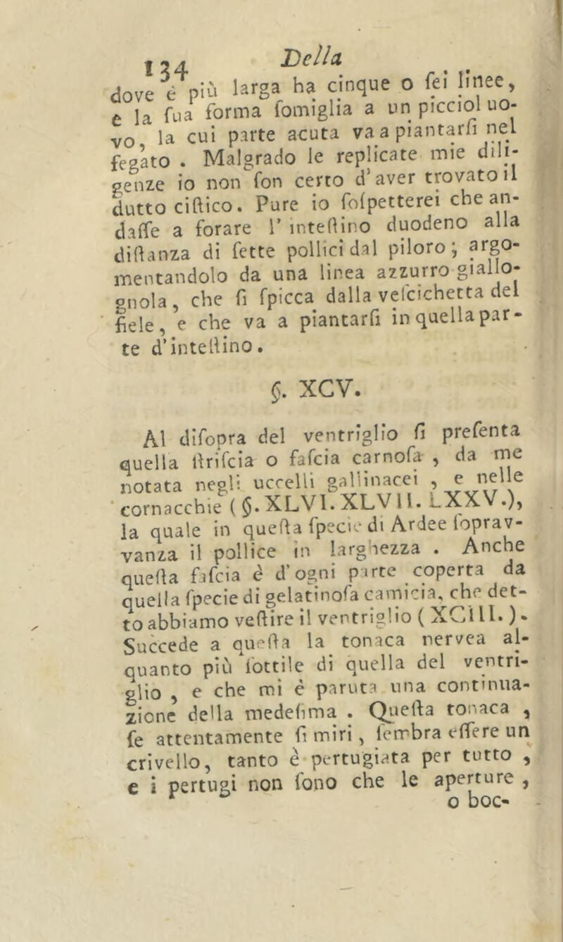 dov! ‘='‘5' ° e la fua forma fomiglia a un picciol uo- vo la cui parte acuta va a piantarli nel fegato . Malgrado le replicate mie dili- genze io non fon certo d’aver trovatoli duttociftico. Pure io folpetterei che an- clalfe a forare V inteflir.o duodeno alla diftanza di fette pollici dal piloro; argo- mentandolo da una linea azzurro giallo- gnola, che fi fpicca dalla velcichetta del fiele, e che va a piantarfi in quella par- te d’intellino. Del/a §. XCV. Al difopra del ventriglio fi prefenta quella llriYcia o falcia carnofa- , da me notata negli uccelli gallinacei , ^ “ cornacchie ( $• XLVl. XLV11. i-XXV.)> la quale in quella fpecìe di Ardee loprav- vanza il pollice in larghezza . Anche quella fafcia è d’ogni parte coperta da quella fpecie di gelatinofa camicia, che det- to abbiamo vellire il ventriglio ( XCUl. ) » Succede a quella la tonaca rervea al- quanto più lottile di quella del ventri- glio , e che mi c partita una continua- zione della medelima . Qiiella tonaca , fe attentamente fi miri, ierrbra elfere un crivello, tanto è-pertugiata per tutto , c i pertugi non lono che le aperture , o hoc-