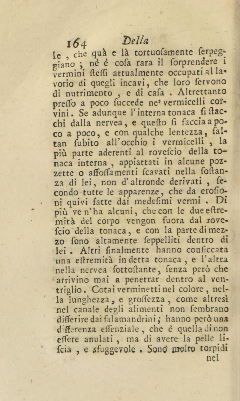 1^4 Indici le che quà e là tortuofamente ferpeg- glano ; né é cofa rara il forprendere i vermini attualmente occupati al la* vorio di quegli incavi, che loro fervono di nutrimento , e di cafa . Altrettanto preffo a poco fuccede ne* vermicelli cor- vini. Se adunque l’interna tonaca bac- chi dalla nervea, e quello fi faccia a po- co a poco, e con qualche lentezza, fal- tan fubito all’occhio i vermicelli , la più parte aderenti al rovefeio della to- naca interna , appiattati in alcune poz- zette o affolfamenti fcavati nella foftan- za di lei, non d’altronde derivati , fe- condo tutte le apparenze, che da erofio- ni quivi fatte dai medefimi vermi . Di più ve n’ha alcuni, che con le dueeftre- mità del corpo vengon fuora dal rove- feio della tonaca, e con la parte di mez- zo fono altamente feppelliti dentro di lei . Altri finalmente hanno conficcata una efiremità indetta tonaca, e l’altra nella nervea fottofiante, fenza però che arrivino mai a penetrar dentro al ven- triglio. Cotai verminetti nel colore, nel- la lunghezza, e groffezza , come altresì nel canale degli alimenti non fembrano differire dai falamandrini ; hanno però una differenza effenziale , che é quella di non effere anulari , ma di avere la pelle li- feia , e sfuggevole . Sonò molto torpidi