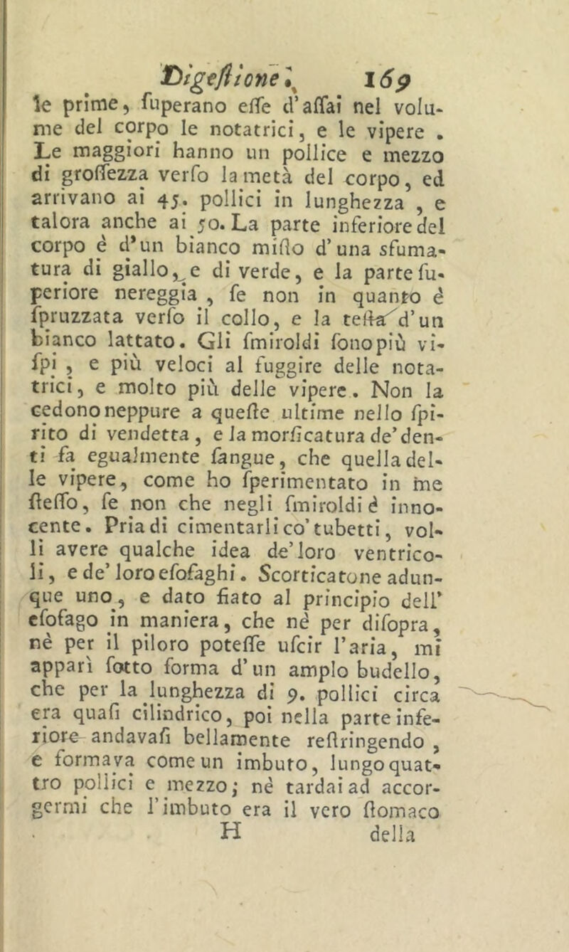 T)tg€fltone\ i6p le prime, fuperano effe d’affai nel volu- me dei corpo le notatrici, e le vìpere . Le maggiori hanno un pollice e mezzo di groffezza verfo la metà del corpo, ed arrivano ai 45. pollici in lunghezza , e talora anche ai 50. La parte inferiore del corpo è d*un bianco mido d’una sfuma- tura di giallo,^e di verde, e la parte fu- periore nereggia , fe non in quanto é fpruzzata verfo il collo, e la tedar^d’un bianco lattato. Gli fmiroldi fonopiù vi- fpi , e più veloci al fuggire delle nota- trici, e molto più delle vipere. Non la cedono neppure a quelle ultime nello Ipi- rito di vendetta, e la morlìcatura de’den- ti fa egualmente fangue, che quella del- le vipere, come ho fperimentato in ine feffo, fe non che negli fmiroldi é inno- cente. Pria di cimentarli co’tubetti, vol- li avere qualche idea de’loro ventrico- li, e de’loroefofaghi. Scorticatone adun- que uno, e dato fato al principio deli’ cfofago in maniera, che né per difopra, nè per il piloro poteffe ufcir l’aria, mi apparì fotto forma d’un ampio budello, che per la lunghezza di 9. pollici circa era quali cilindrico, poi nella parte infe- riore andavafi bellamente reflringendo , e formava come un imbuto, lungo quat- tro pollici e mezzo; né tardai ad accor- germi che l’imbuto era il vero llomaco H della