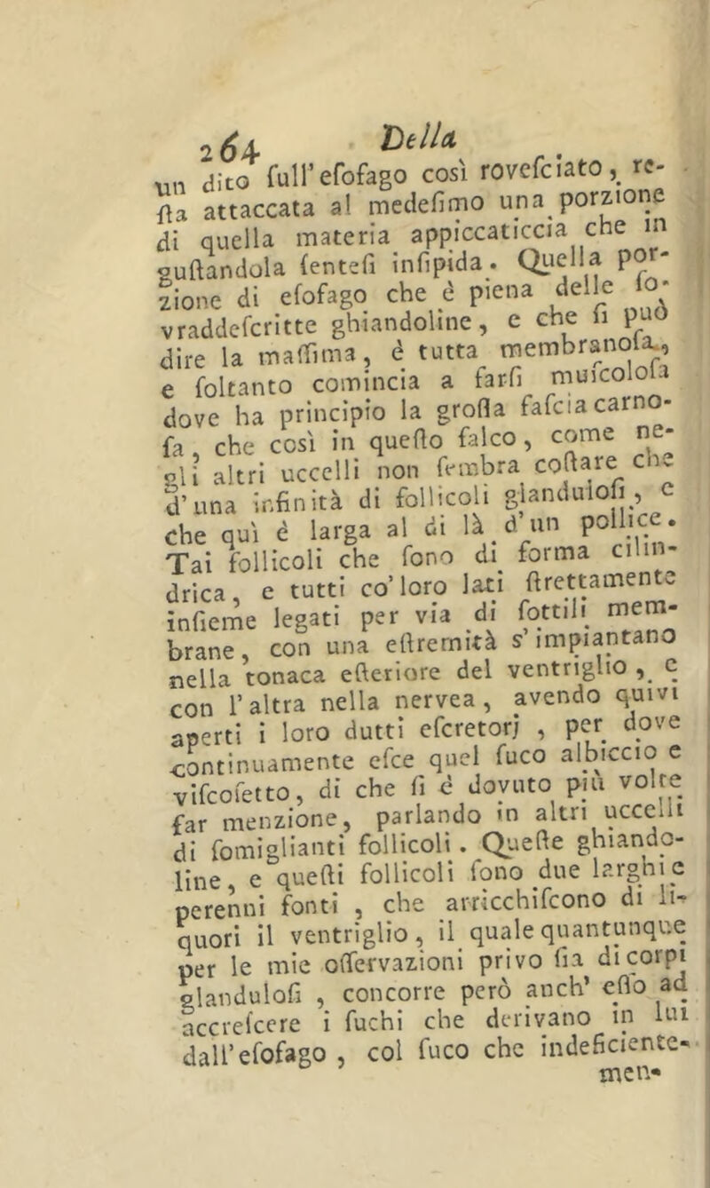 2 6A- dito full’efofago così rovefciato,_ re {[a. attaccata a! medefirno una porzione di quella materia^ «nr! suftandola (entefi infipida. QLiclla p - zione di efofago che è piena delle lo- vraddeferitte ghiandoline, e che fi pu dire la inalfima, è tutta ^embranola., e foltanto comincia a farli muicolola dove ha principio la grolla fafciacarno- fa , che così in quefio falco, come ne- gl i altri uccelli non fi-mbra coftare c d’una infinità di follicoli glandulofi, c che qui è larga al di Tai follicoli che fono di^ forma cilin- drica, e tutti co’loro lati infieme legati per via di lottili mem- brane, con una efirernità s impiantano nella tonaca efteriore del ventriglio ^ c con l’altra nella nervea , avendo quivi aperti i loro dutti eferetorj , per dove continuamente efee quel fuco albjccio c vifeofetto, di che fi d dovuto p|a volte far menzione, parlando m altri uccelli di fomiglianti follicoli. Quelle ghiando- line e quefti follicoli fono due larghie perenni fonti , che arricchifcono di li- quori Il ventriglio, il quale quantunque per le mie olfervazioni privo fia di corpi elandulofi , concorre però anch’ elio ad accrelccre i fuchi che derivano in lui dall’efofago , col fuco che indeficiente-- men*
