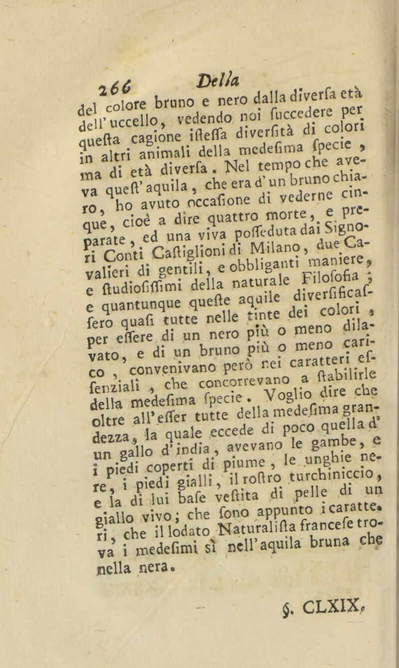 aA colore bruno e nero dalia diverfa età ^i^n’nrrello vedendo noi fuccedere per dell uccello, 'di colon rtuefta cagione inena diveriita in altri animali della mcdefima » ma di età diverfa. Nel tempo che ave ™a quell' aquila , che era d' un b™° ^ ,0 ho avuto rrccafione di vederne cin rJoè a dire quattro morte,^ e prc Sara’te, ed una viva pofTedutadaiSi^gno- rLtI Caftlslionidi Milano, due Ca- vancrfdi genifli! e obbliganti maniere, e ftudiofiflimi della : quantunque <iuefte aquile diverfificaf^ '““erte rnntpiro meno dila- gato, e di un bruno P'^ ? CO , convenivano pero nei ca , r<.rv7ÌaU cbe concorrevano a itaoiliri okm air devia la quale eccede di poco quella d dezxa, 1 4 . bevano le gambe, e rpild coperH di’pTume, le unghie ne- 1 pieoi _c p ilroftro turchiniccio , '/ia'dnu! lafe'ieftha di pelle di un giallo .vivo; cbe fono appunto ■”' * f che il lodato Naturalinafrancefe tro- va’ i medefimi sì Dell’aquila bruna cbe nella nera. 5. CLXIX,