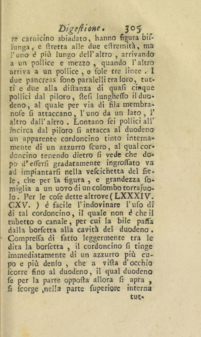 re carnicino sbiadato, hanno figura biT- lunga, c (Iretta alle due efiremith, ma Tiino è più lungo dell’altro , arrivando a un pollice e mezzo , quando l’altro arriva a un pollice , 0 fole tre linee . I due pancreas fono paràlelli tra lóro, tut- ti e due alla diftanza di quali cinque pollici dal piloro, ilefi lungheffo il duo- deno, al quale per via dì fila membra- nofe fi attaccano, l’uno da un , i’ altro dall’altro , Lontano fei pollici all’ incirca dal piloro fi attacca al duodeno un apparente cordoncino tinto Interna- mente di un azzurro fcnro, al qual cor- doncino tenendo dietro fi vede che do- po d*elTerfi gradatamente ingrofifato va ad impiantarfi nella vefcichetta del fie- le , che per Va figura , e grandezza fo- miglia a un uovo di un colombo terraiuo- lo. Per le cofe dette altrove ( LXXXIV. CXV. ) è facile l’indovinare l’ufo dr di tal cordoncino, il quale non è cheli tubetto o canale, per cui la bile paflfa dalla borfetta alla cavità del duodeno • Comprelfa di fatto leggermente tra le dita la borfetta , 11 cordoncino fi tinge immediatamente dì un azzurro più cu- po e più denlo , che a villa d’occhio feorre fino al duodeno, il qual duodeno fe per la parte oppofta allora fi apra , fi feorge ^nella parte fuperìorc interna