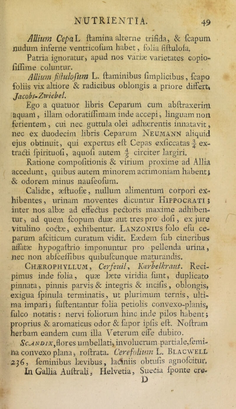 Allium Cepa L flamina alterne trifida, & {capum nudum inferne ventricofum habet, folia fiftulola. Patria ignoratur, apud nos variae varietates copio- fiflime coluntur. Allium fidulofum L. flaminibus fimplicibus, {capo foliis vix altiore & radicibus oblongis a priore differt, Jacobs-Zwiebel. Ego a quatuor libris Ceparum cum abflraxerim aquam, illam odoratiflimam inde accepi, linguam noil ferientem, cui nec guttula olei adhaerentis innatavit, nec ex duodecim libris Ceparum Neumann aliquid ejus obtinuit, qui expertus efl Cepas exficcatas -J ex- tracli fpirituofi, aquofl autem circiter largiri. Ratione compofitionis & virium proxime ad Allia accedunt, quibus autem minorem acrimoniam habent} & odorem minus naufeofum. Calidae, aeftuofae, nullum alimentum corpori ex- hibentes, urinam moventes dicuntur Hippocrati} inter nos albae ad effedus pedoris maxime adhiben- tur , ad quem fcopum duae aut tres pro dofi, ex jure Vitulino codx, exhibentur. Lanzonius folo efu ce- parum afciticum curatum vidit. Eaedem fub cineribus affatae hypogaflrio imponuntur pro pellenda urina, nec non abfceilibus quibufcunque maturandis. CHiEROPHYLLUM, Cerfeuil, Ktxrbelkraut. Reci- pimus inde folia, quae laete viridia funt, duplicato pinnata, pinnis parvis & integris & incifis, oblongis, exigua fpinula terminatis, ut plurimum ternis, ulti- ma impari} fuflentantur folia petiolis convexo-planis, fulco notatis: nervi foliorum hinc inde pilos habent; proprius & aromaticus odor & fapor ipfis efl, Nofiram herbam eandem cum illa Veterum effe dubico. Sc^ndix,flores umbellati, involucrum partiale,femi- na convexo plana, roflrata. Cer e folium L. Blacwell 236, feminibus laevibus, ladhnis obtufis agnofcitur, In Gallia Auflrab, Helvetia, Suecia fponte cre- D