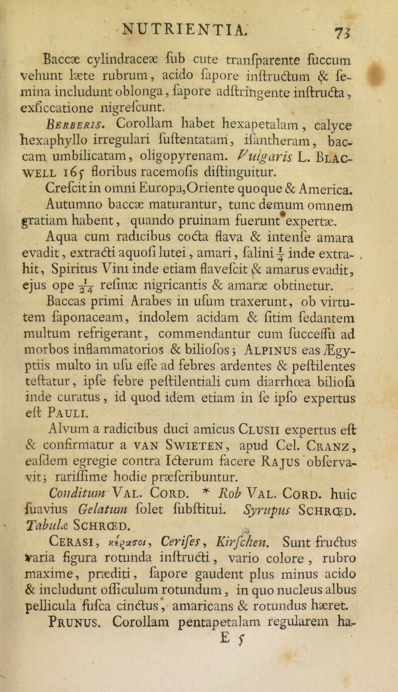7J Baccae cylindraceae fub cute tranfparente {uccum vehunt laete rubrum, acido fapore inftrudum fe- mina includunt oblonga, fapore adftringente inftruda, exficcatione nigrefcunt. Berberis. Corollam habet hexapetalam, calyce hexaphyllo irregulari fuftentatam, ifantheram, bac- cam umbilicatam, oligopyrenam. Fulgaris L. Blac- well 16 f floribus racemofis diftinguitur. Crefcit in omni Europa,Oriente quoque & America. Autumno baccae maturantur, tunc demum omnem gratiam habent, quando pruinam fuerunt expertae. Aqua cum radicibus coda flava & intenfe amara evadit, extradi aquofi lutei, amari, falini \ inde extra- . hit. Spiritus Vini inde etiam flavefcit & amarus evadit, ejus ope relinae nigricantis & amarae obtinetur. Baccas primi Arabes in ufum traxerunt, ob virtu- tem faponaceam, indolem acidam & fitim fedantem multum refrigerant, commendantur cum fucceifu ad morbos inflammatorios & biliofos; Alpinus eas Tgy- ptiis multo in ufu eife ad febres ardentes & peftilentes teftatur, ipfe febre peftilentiali cum diarrhoea biliofa inde curatus, id quod idem etiam in fe ipfo expertus eft Pauli. Alvum a radicibus duci amicus Clusii expertus eft & confirmatur a van Swieten, apud Cei. Cranz, eafdem egregie contra Iderum facere Rajus obferva- vit5 rariftime hodie pracfcribuntur. Conditum Val. Cord. * Rob Val. Cord. huic fuavius Celatum folet fubftitui. Syrupus Schrced. TabuU Schrced. Cerasi, Cerifes, Kirfchen. Sunt frudus varia figura rotunda inftrudi, vario colore , rubro maxime, praediti, fapore gaudent plus minus acido & includunt ofticulum rotundum, in quo nucleus albus pellicula fufca cindus, amaricans & rotundus haeret. Prunus. Corollam pentapetalam regularem ha-
