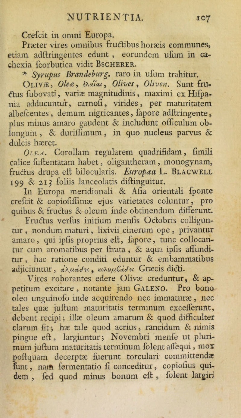 Crefcit in omni Europa. Praeter vires omnibus frudibus horaeis communes, etiam adftringentes edunt , eorundem ufum in ca- chexia fcorbutica vidit Bscherer. * Syrupus Brandeburg. raro in ufum trahitur. OuviE, Olea, ihctifxi, Olives , Oliven. Sunt fru- dus fubovati, variae magnitudinis, maximi ex Hifpa- nia adducuntur, carnofi, virides, per maturitatem albefcentes, demum nigricantes, fapore adftringente, plus minus amaro gaudent & includunt ofliculum ob- longum , & durifiimum, in quo nucleus parvus & dulcis haeret. 0le^4. Corollam regularem quadrifidam, fimili calice fuftentatam habet, oligantheram, monogynam, frudus drupa eft bilocularis. Europaei L. Blacwell 199 & 215 foliis lanceolatis diftinguitur. I11 Europa meridionali & Alia orientali fponte crefcit & copiofiflimae ejus varietates coluntur, pro quibus & frudus & oleum inde obtinendum differunt. Frudus verfus initium menlis Odobris colligun- tur , nondum maturi, lixivii cinerum ope , privantur amaro, qui iplis proprius eft, fapore, tunc collocan- tur cum aromatibus per ftrata , & aqua iplis affundi- tur , hac ratione conditi eduntur & embammatibus adjiciuntur, uXjudcPi;, HoXu/xCdcPic Graecis didi. Vires roborantes edere Olivae creduntur, & ap- petitum excitare , notante jam Galeno. Pro bono oleo unguinofo inde acquirendo nec immaturae, nec tales quae juftum maturitatis terminum excefferunt, debent recipi; illae oleum amarum & quod difficulter clarum fit; hae tale quod acrius, rancidum & nimis pingue eft, largiuntur; Novembri menfe ut pluri- mum juftum maturitatis terminum folent affequi, mox poftquam decerptae fuerunt torculari committendae funt, nam fermentatio fi conceditur, copiolius qui- dem , fed quod minus bonum eft , folent largiri
