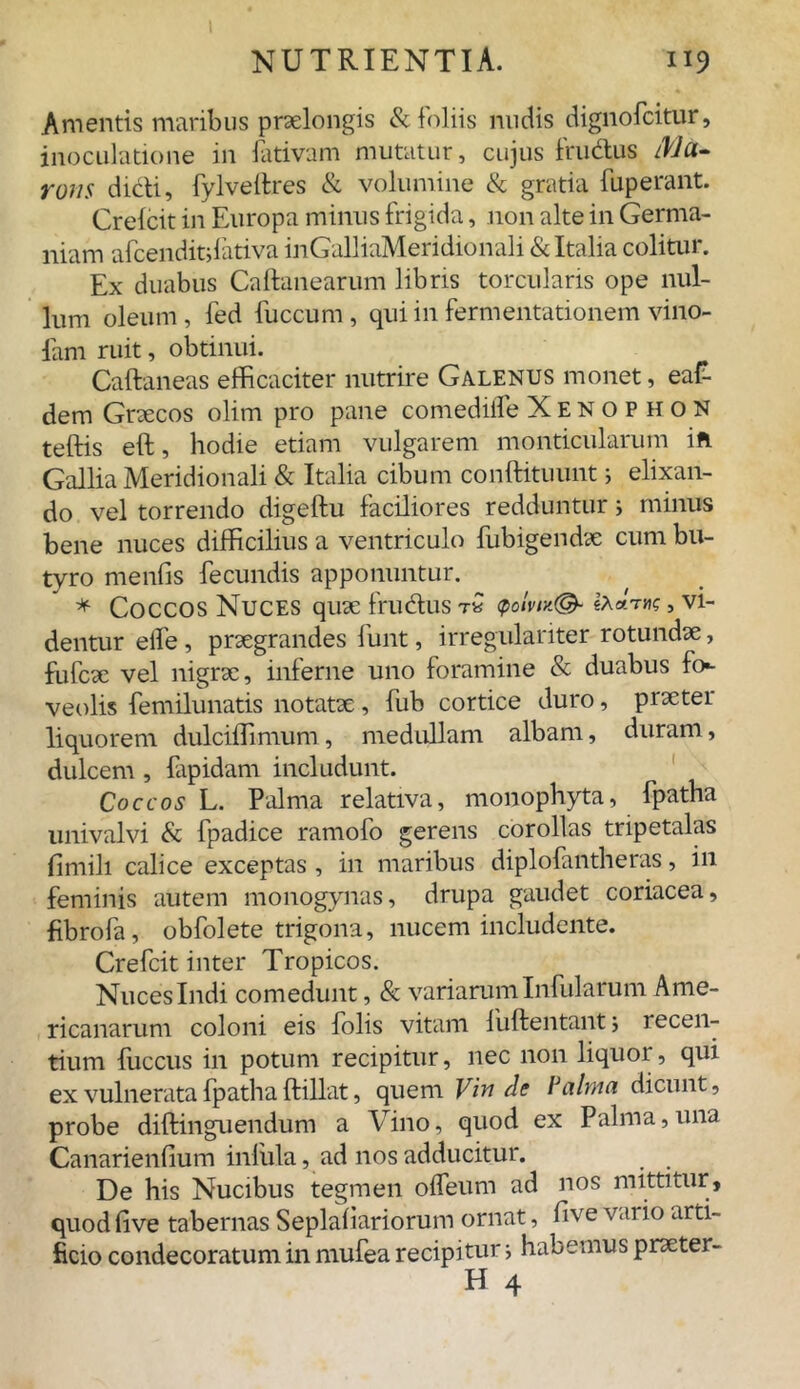 Amentis maribus praelongis & foliis nudis dignofcitur, inoculatione in fativam mutatur, cujus frudus ^/a- rons dicli, fylveltres & volumine & gratia fuperant. Crelcit in Europa minus frigida, non alte in Germa- niam afcenditdativa inGalliaMeridionali & Italia colitur. Ex duabus Caftanearum libris torcularis ope nul- lum oleum , fed luccum , qui in fermentationem vino- fam ruit, obtinui. Caftaneas efficaciter nutrire Galenus monet, eaf- dem Graecos olim pro pane comediife Xenophon teftis eft, hodie etiam vulgarem monticularum ift Gallia Meridionali & Italia cibum conftituunt j elixan- do vel torrendo digeftu faciliores redduntur; minus bene nuces difficilius a ventriculo fubigendse cum bu- tyro menfis fecundis apponuntur. * Coccos Nuces quae frudus r« <polvi*(& , vi- dentur elfe, praegrandes funt, irregulariter rotundae, fufcae vel nigrae, inferne uno foramine & duabus fo- veolis femilunatis notatae, fub cortice duro, praeter liquorem dulciffimum, medullam albam, duram, dulcem , fapidam includunt. Coccos L. Palma relativa, monophyta, fpatha univalvi & fpadice ramofo gerens corollas tripetalas fimili calice exceptas, in maribus diplofantheras, in feminis autem monogynas, drupa gaudet coriacea, fibrofa, obfolete trigona, nucem includente. Crefcit inter Tropicos. Nuces Indi comedunt, & variarum Infularum Ame- ricanarum coloni eis folis vitam liiftentant 5 recen- tium fuccus in potum recipitur, nec non liquor, qui ex vulnerata fpatha ftillat, quem Vin cie Palma dicunt, probe diftinguendum a Vino, quod ex Palma,una Canarienfium infula, ad nos adducitur. De his Nucibus tegmen oifeum ad nos mittitur, quod live tabernas Seplaiiariorum ornat, five var io arti- ficio condecoratum in mufea recipitur; habemus practer-