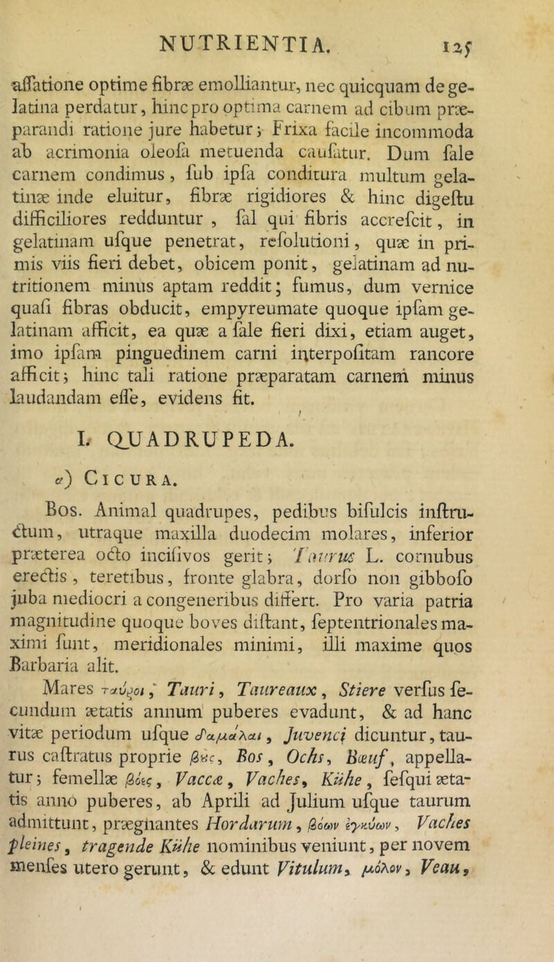 12$ alfatione optime fibrae emolliantur, nec quicquam dege- latina perdatur, hinc pro optima carnem ad cibum prae- parandi ratione jure habetur; Frixa facile incommoda ab acrimonia oleofa mecuenda caufatur. Dum fale carnem condimus, fub ipfa conditura multum gela- tinae inde eluitur, fibrae rigidiores & hinc digeftu difficiliores redduntur , fal qui fibris accrefcit, in gelatmam ufque penetrat, refolutioni, quae in pri- mis viis fieri debet, obicem ponit, geiatinam ad nu- tritionem minus aptam reddit; fumus, dum vernice quali fibras obducit, empyreumate quoque lpfam ge- iatinam afficit, ea quae a fale fieri dixi, etiam auget, imo ipfam pinguedinem carni interpolitam rancore afficit i hinc tali ratione praeparatam carnem minus laudandam efle, evidens fit. } I/ QUADRUPEDA. a) Cicura. Bos. Animal quadrupes, pedibus bifulcis inftru- dum, utraque maxilla duodecim molares, inferior praeterea odo incilivos gerit; Taurus L. cornubus eredis , teretibus, fronte glabra, dorfo non gibbofo juba mediocri a congeneribus differt. Pro varia patria magnitudine quoque boves diftant, feptentrionales ma- ximi funt, meridionales minimi, illi maxime quos Barbaria alit. Mares tuu^oi , Tauri, Taureaux , Stiere verfus fe- cundum aetatis annum puberes evadunt, & ad hanc vitae periodum ufque <Ta.^aAat, Juvenci dicuntur, tau- rus caftratus proprie j8«c, Bos, Ochs, Bceuf, appella- tur; femellae /3oe$, Vacca, Vaches, Kuhe , fefqui aeta- tis anno puberes, ab Aprili ad Julium ufque taurum admittunt, praegnantes Hordarum, /2oW iynvcov, Vaches pleines, tragende Kuhe nominibus veniunt, per novem Kienfes utero gerunt, & edunt Vitulum^ /uoAov, Veau,