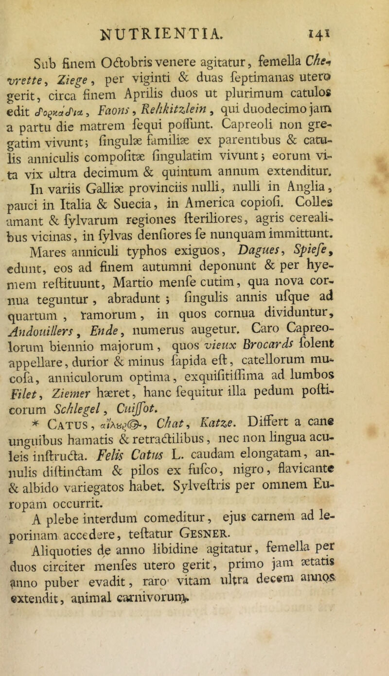 Sub finem Odobrisvenere agitatur, femella Che- vrette, Ziege, per viginti & duas feptimanas utero gerit, circa finem Aprilis duos ut plurimum catulos edit , Faons, Rehkitzlein , qui duodecimo jam a partu die matrem fequi poffunt. Capreoli non gre- gatim vivunt; lingulae familiae ex parentibus & catu- lis anniculis compolitae fingulatim vivunt 5 eorum vi- ta vix ultra decimum & quintum annum extenditur. In variis Galliae provinciis nulli, nulli in Anglia, pauci in Italia & Suecia, in America copiofi. Colles amant & fylvarum regiones Heriliores, agris cereali, bus vicinas, in fylvas denfiores fe nunquam immittunt. Mares anniculi typhos exiguos, Dagues, Spiefe, edunt, eos ad finem autumni deponunt & per hye- mem reftituunt, Martio menfecutim, qua nova cor- nua teguntur, abradunt ; lingulis annis ufque ad quartum , ramorum, in quos cornua dividuntur, Andouillers , En de, numerus augetur. Caro Capreo- lorum biennio majorum, quos vieux Brocards folent appellare, durior & minus fapida eft, catellorum mu- eofa, anniculorum optima, exquifitifiima ad lumbos Filet 1 Ziemer haeret, hanc fequitur illa pedum po{fi- corum Schlegel, Ciiijfot. * Catus, Chat, Katze. Differt a cane unguibus hamatis & retradilibus, nec non lingua acu- leis inftruda. Felis Catus L. caudam elongatam, an- nulis diffindam & pilos ex fufco, nigro, flavicante & albido variegatos habet. Sylveftris per omnem Eu- ropam occurrit. A plebe interdum comeditur, ejus carnem ad le- porinam accedere, teftatur Gesner. Aliquoties de anno libidine agitatur, femella per duos circiter menfes utero gerit, primo jam aetatis anno puber evadit, raro vitam ultra decem annos extendit, animal carnivorun*.