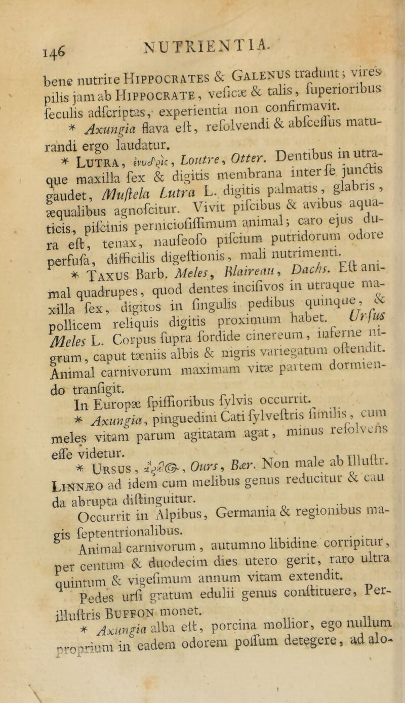 bene nutrire Hippocrates & Galenus tradunt j ynes* pilis jam ab Hippocrate , vefic* & talis > fupenonbus feculis adfcriptas,- experientia non confirmavit. * Axungia flava eft, refolvendi & abfceflus matu- randi ergo laudatur. . * Lutra , M<U, Loutre, Otter. Dentibus in utra- que maxilla fex & digitis membrana inter fe junitas gaudet, Mujlek Lutra L. digitis palmatis, glabr s aequalibus agnofcitur. Vivit pifcibus & avibus aqua- ticis, pifcinis perniciofiffimum animal; cato e,us du- ra eft, tenax, naufeofo pifcium putridorum odore perfufa, difficilis digeftionis, mali nutnmemi. 1 * Taxus Barb. Meles, Hlatreim, Dachs. Ut ani- mal quadrupes, quod dentes incifivos in utraque ma- xilla fex, digitos in fi ligulis pedibus quinque, ^ pollicem reliquis digitis proximum habet Ut[ Meles L. Corpus fupra for dide cinereum, inferne n - erum, caput txniis albis & nigris variegatum oftendit. Animal carnivorum maximam vitx partem dormien- do tranfigit. I11 Europx fpiffioribus fylvis occurrit.^ * Axungia, pinguedini Cati fylveftns iimilis, cum meles vitam parum agitatam agat, nunus reiolvens efle Videmr-g, Quys, Rxy Noil male ab Illuftr. LlNNiEO ad idem cum melibus genus reducitur <x cau da abrupta diftinguitur. Occurrit in Alpibus, Germania & regionibus ma- gis feptentrionalibus. Animal carnivorum, autumno libidine corripitur, per centum & duodecim dies utero gerit, raro ultra quintum & vigefimum annum vitam extendit. Pedes urd gratum edulii genus conitituere, I er- jlluftris Bufeon monet. * Axungia alba eit, porcina mollior, ego nullum proprium iit eadem odorem polfum detegere, ad alo-