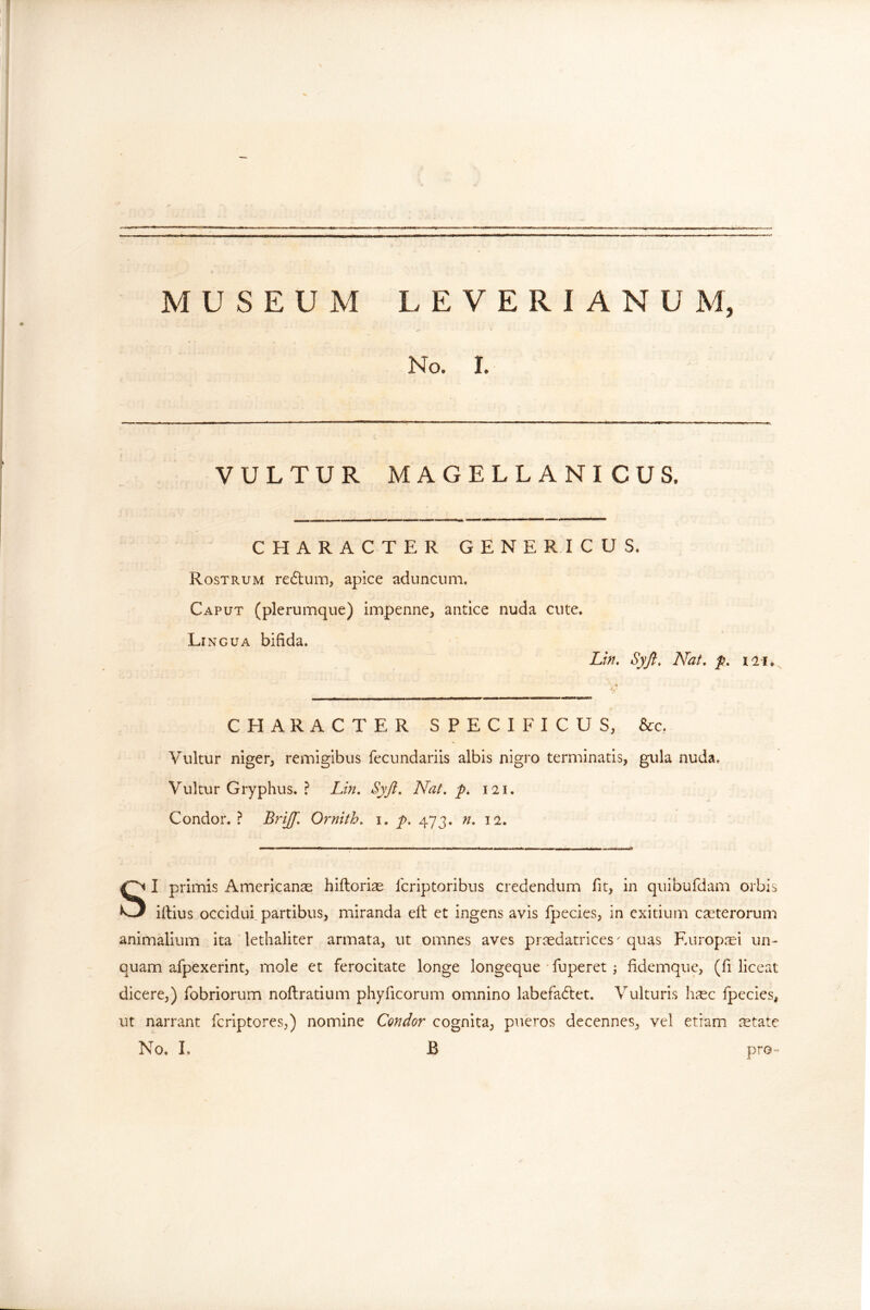 MUSEUM LEVERIANUM, No. I. VULTUR MAGELLANICUS. CHARACTER GENERICUS. Rostrum re6lum, apice aduncum. Caput (plerumque) impenne, antice nuda cute. Li NGUA bifida. Lin, Syft, Nat, p iii. CHARACTER SPECIFICUS, &:c. Vultur niger, remigibus fecundariis albis nigro terminatis, gula nuda. Vultur Gryphus. ? Lin, Syjt, Nat, p, 121. Condor. ? Brijf. Ornith, i. f. 473, n, 12. SI primis Americanas hiftorias Icriptoribus credendum fit, in quibufdam orbis illius occidui, partibus, miranda ell et ingens avis fpecies, in exitium Cceterorum animalium ita lethaliter armata, ut omnes aves praedatrices ^ quas Europ.'ui un- quam afpexerint, mole et ferocitate longe longeque fuperet 3 fidemque, (fi liceat dicere,) fobriorum noftratium phyficorum omnino labefa(S:et. Vulturis h^ec fpecies, ut narrant fcriptores,) nomine Condor cognita, pueros decennes, vel etiam aetate