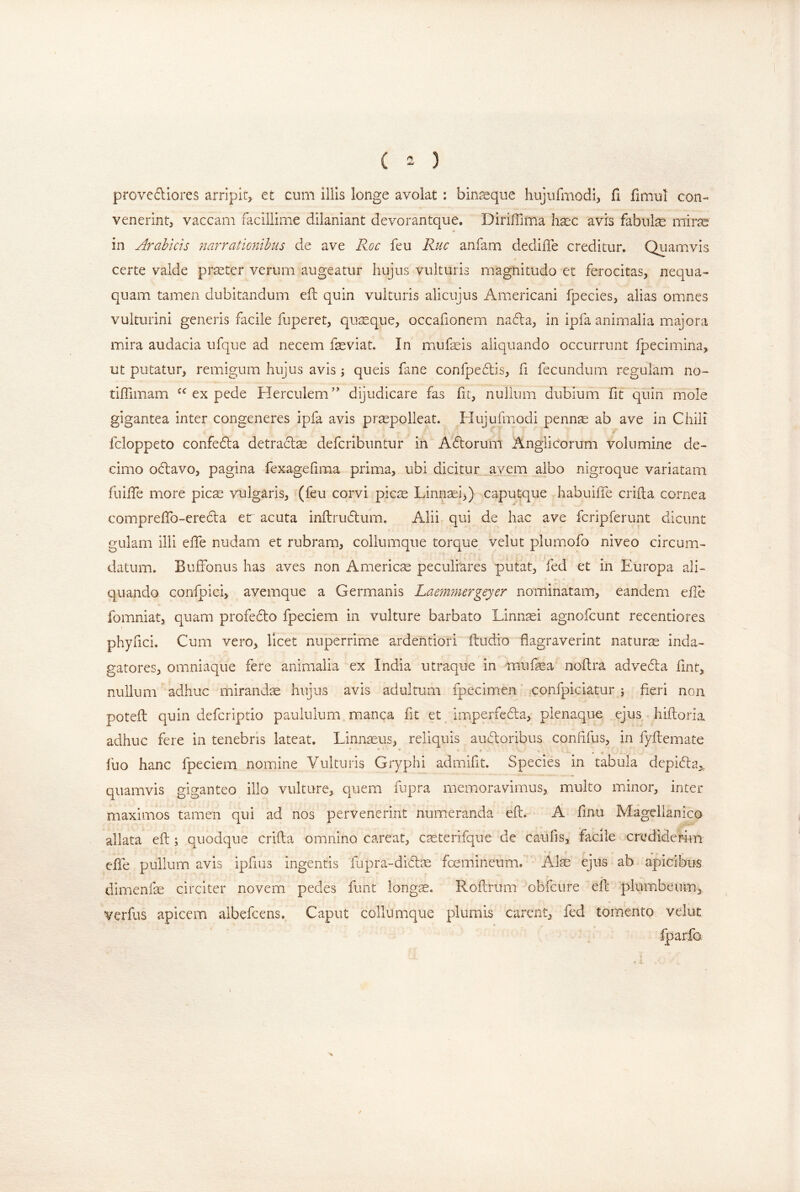 provcftiores arripit^ et cum illis longe avolat : binsque hujufmodi, fi fimul con- venerint^ vaccam facillime dilaniant devorantque. Diriffima h^c avis fabulse mir^ in Arabicis narrationibus de ave Roc feu Ruc anfam dedifle creditur. Quamvis certe valde prseter verum augeatur hujus vulturis magnitudo et ferocitas, nequa- quam tamen dubitandum efi: quin vulturis alicujus Americani fpecies, alias omnes vulturini generis facile fuperet, qusque, occafionem nada, in ipfa animalia majora mira audacia ufque ad necem feviat. In mufeis aliquando occurrunt Ipecimina, ut putatur, remigum hujus avis; queis fane confpedis, fi fecundum regulam no- tilTimam ex pede Herculem’' dijudicare fas ht, nullum dubium fit quin mole gigantea inter congeneres ipfa avis pr^polleat. Flujufmodi pennse ab ave in Chili ? fcloppeto confedla detracl^ defcribuntur in Adorum Anglicorum volumine de- cimo odavo, pagina fexagefima prima, ubi dicitur avem albo nigroque variatam fuifie more pic^ vulgaris, (feu corvi picie Linntei^) caputque habuiffe crifta cornea compreffo-ereda er acuta inftrudum. Alii qui de hac ave fcripferunt dicunt gulam illi eiTe nudam et rubram, collumque torque velut plumofo niveo circum- datum. Buffonus has aves non America peculiares putat, fed et in Europa ali- quando confpici, avemque a Germanis Laemmergeyer nominatam, eandem efie fomniat, quam profedo fpeciem in vulture barbato Linn^i agnofcunt recentiorea phyfici. Cum vero, licet nuperrime ardentiori ftudio flagraverint naturas inda- gatores, omniaque fere animalia ex India utraque in mufea noftra adveda fint, nullum adhuc mirandis hujus avis adultum fpecimen’ confpiciatur ; fieri non poted quin defcriptio paululum manca fit et imperfeda, plenaque ejus hiftoria adhuc fere in tenebris lateat, Linnaeus, reliquis audoribus confifus, in fyflemate fiio hanc fpeciem nomine Vulturis Gryphi admifit. Species in tabula depida,,. quamvis giganteo illo vulture, cpem fupra memoravimus, multo minor, inter maximos tamen qui ad nos pervenerint numeranda efi:. A finu Mageilanico allata efi:; quodque crifta omnino careat, cseterifque de caufis, facile crediderim efie pullum avis ipfius ingentis fupra-didie femineum. Alte ejus ab apicibus dimenfte circiter novem pedes funt longae. Roftrum obfcure efi: plumbeum, verfiis apicem albefeens. Caput collumque plumis carent, fed tomento velut iparfo