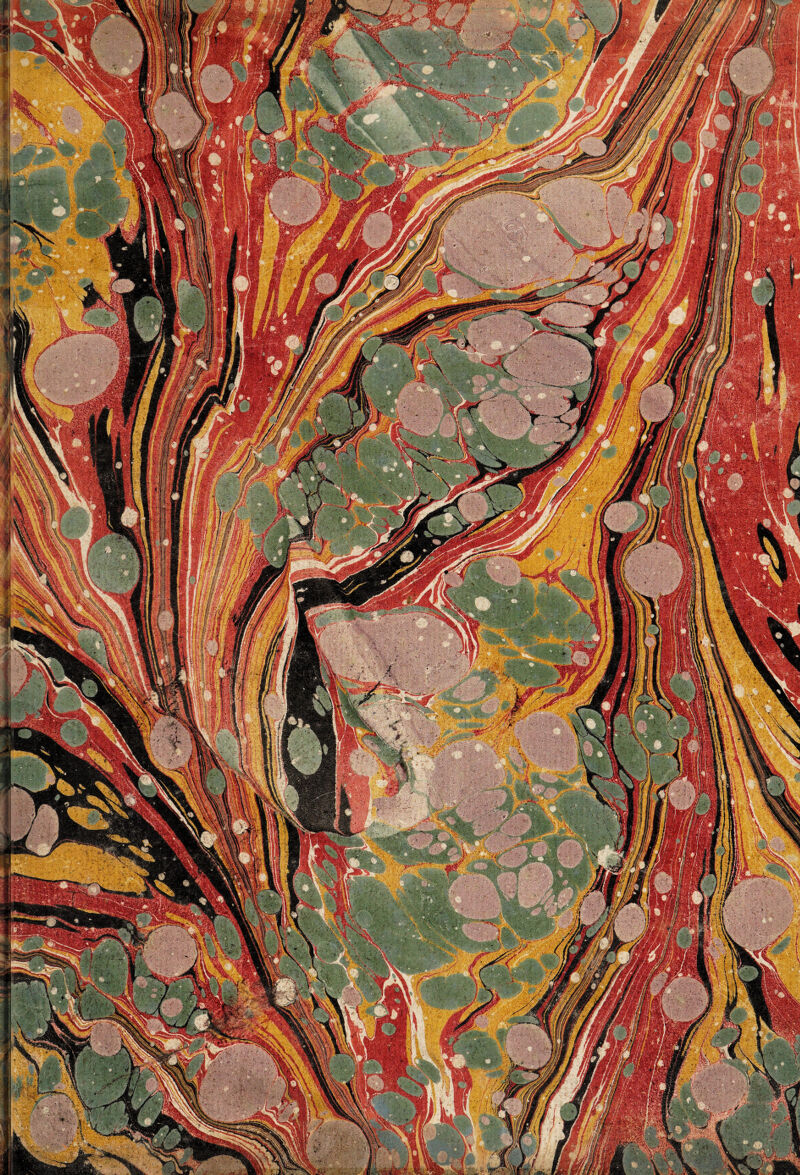 No text description is available for this image