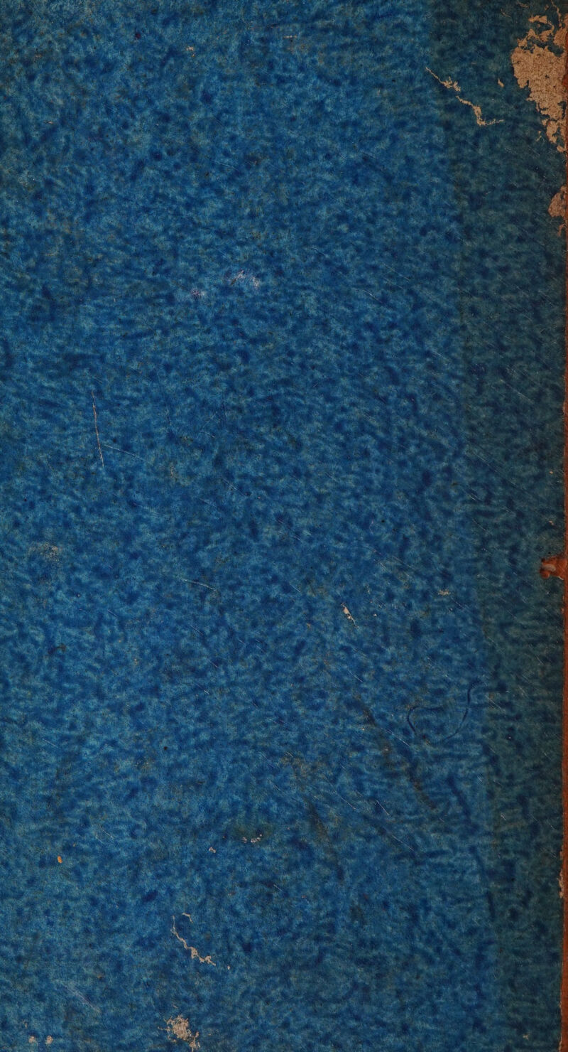 LL