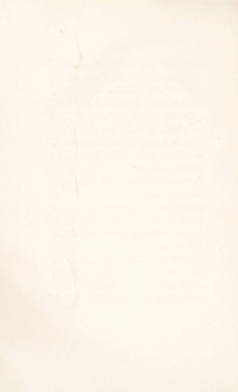 «/ Jt, t * · ■■ / / <4 y \ \ V \ i \ V 1 b '.4 • . ■' ·\ l’: f / •Ϊ; · fi /