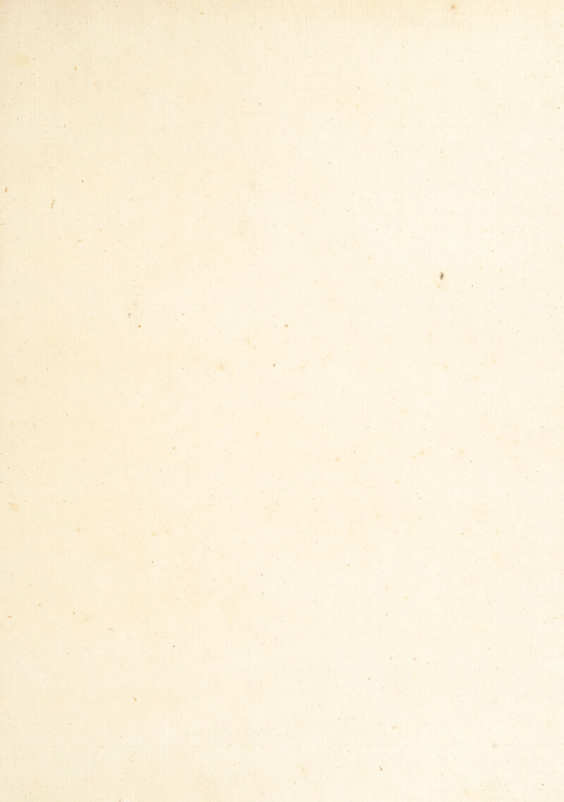 tR ’ % ' • y : i f ■V / ! t % . * * «1 / /