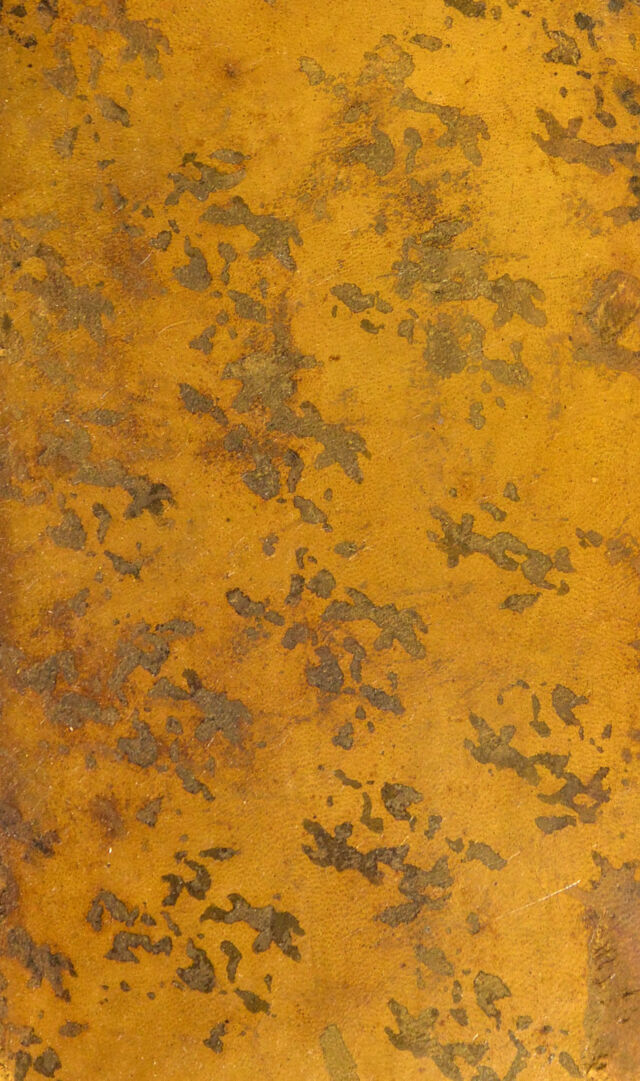 digitised image 1