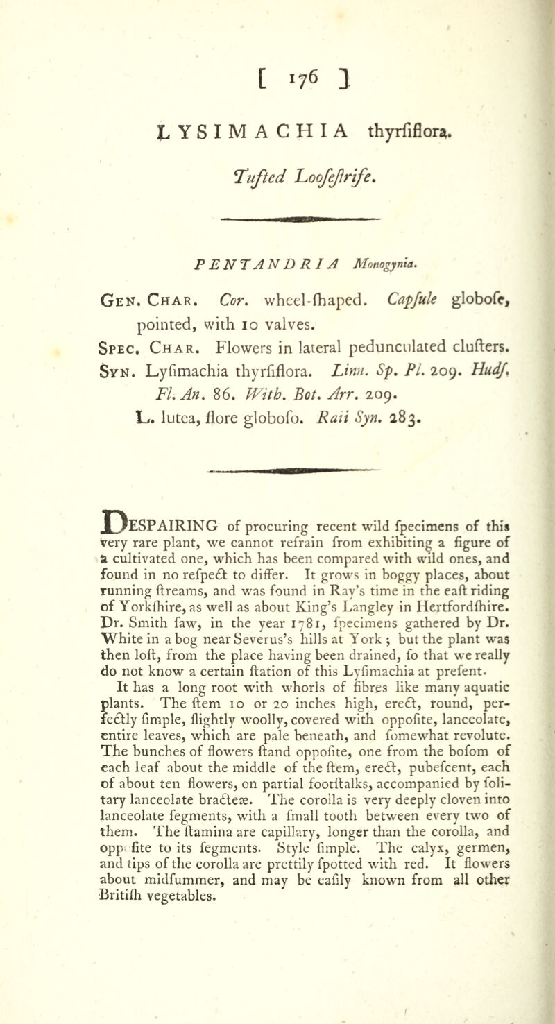 [ *76 3 LYSIMACHIA thyrfiflora. Tufted Loofefrife. PENTANDRIA Monogynia. Gen. Char. Cor. wheel-fhaped. Capfule globofe, pointed, with io valves. Spec. Char. Flowers in lateral pedunculated clutters. Syn. Lyfimachia thyrfiflora. Linn. Sp. PL 209. HudJ% FL An. 86. /Fz7&. ihtf. ^rr. 209. 1L. lutea, flore globofo. Ifa/i Syn. 283. Despairing of procuring recent wild fpecimens of this very rare plant, we cannot refrain from exhibiting a figure of a cultivated one, which has been compared with wild ones, and found in no refpeCt to differ. It grows in boggy places, about running ftreams, and was found in Ray’s time in the eaft riding of Yorkfhire, as well as about King’s Langley in Hertfordfhire. Dr. Smith faw, in the year 1781, fpecimens gathered by Dr. White in a bog near Severus’s hills at York ; but the plant was then loft, from the place having been drained, fo that we really do not know a certain flation of this Lyfimachia at prefent. It has a long root with whorls of fibres like many aquatic plants. The Item 10 or 20 inches high, ereCI, round, per- fectly fimple, flightly woolly, covered with oppofite, lanceolate, entire leaves, which are pale beneath, and fomewhat revolute. The bunches of flowers (land oppofite, one from the bofom of each leaf about the middle of the Item, ereCt, pubefcent, each of about ten flowers, on partial footftalks, accompanied by foli- tary lanceolate braCteae. The corolla is very deeply cloven into lanceolate fegments, with a fmall tooth between every two of them. The ftamina are capillary, longer than the corolla, and opp fite to its fegments. Style fimple. The calyx, germen, and tips of the corolla are prettily fpotted with red. It flowers about midfummer, and may be eafily known from all other Britifh vegetables. 1