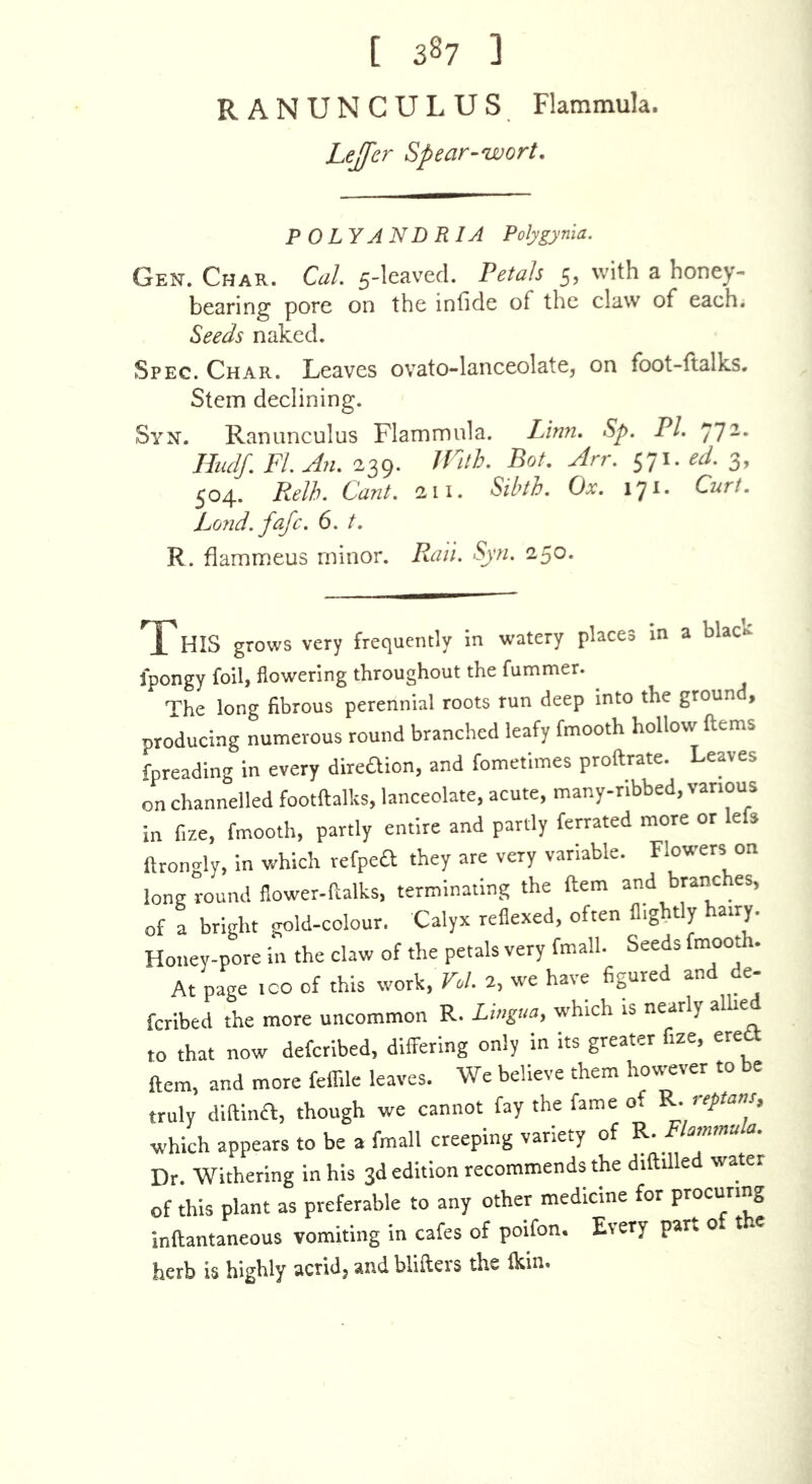 [ 387 ] RANUNCULUS Flammula. Lejfer Spear-wort. P OLYANDRIA Polygynla. Gen. Char. Cal 5-leaved. Petals 5, with a honey- bearing pore on the infide of the claw of each. Seeds naked. Spec. Char. Leaves ovato-lanceolate, on foot-ftalks. Stem declining. Syn. Ranunculus Flammula. Linn, Sp. PL 77-* Hudf, FI An, 239. Uath, Bot, Arr. 571. 3, 504. Relh, Cant, 211. Sibth, Ox, 171. Curt. Land, fajc. 6. t, R. flammeus minor. P\.aii. Syn, 250. XHIS grows very frequently In watery places in a black fpongy foil, flowering throughout the fummer. The long fibrous perennial roots run deep into the groun , producing numerous round branched leafy fmootb hollow ftems fpreading in every direaion, and fometimes proftrate. eaves on channelled footftalks, lanceolate, acute, many-ribbed, various in fize, fmooth, partly entire and partly ferrated more or e s ftrongly, in which refpea they are very variable. Flowers on long round flower-ftalks, terminating the ftem and branches, of a bright gold-colour. Calyx reflexed, often fl.ghtly hairy. Honey-pore in the claw of the petals very fmall. Seeds fmooth. At page ICO of this work, Vol. 2, we have figured and de- fcribed the more uncommon R. Lingua, w'hich is nearly alhe to that now defcribed, differing only in its greater fize, erett ftem, and more feflile leaves. We believe them horvever to be truly diftina, though we cannot fay the fame of V.. reptans, which appears to be a fmall creeping variety of Flammula. Dr. Withering in his 3d edition recommends the diftilled water of this plant as preferable to any other medicine for procuring inftantaneous vomiting in cafes of poifon. Every par, o t e herb is higbiy acridj and blifters the ikin.