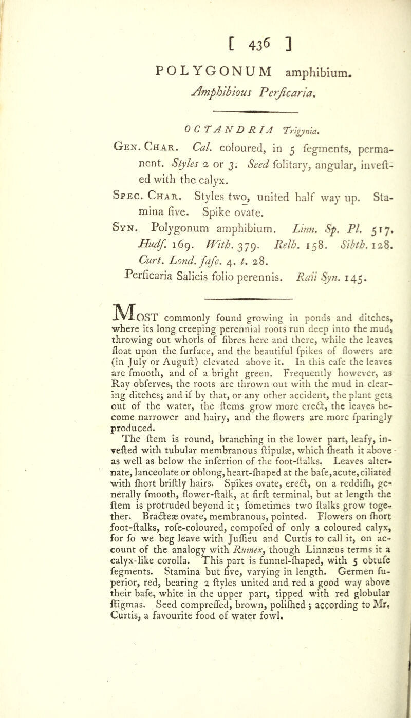 [ 436 ] POLYGONUM amphibium. Amphibious Perjicaria. 0 C T A N D R IA 'Prigynia. Gen. Char. Cal. coloured, in 3 fegments, perma- nent. Styles 2 or 3. Seed folitary, angular, in veil- ed with the calyx. Spec. Char. Styles two, united half way up. Sta- mina five. Spike ovate. Syn. Polygonum amphibium. Linn. Sp. PL 517. Hudf. 169. With. O)79- Relh. 158. Sibth.11%, Curt. Land. fafc. 4. t. 28. Perficaria Salicis folio perennis. Rail Syn. 145. IVIoST commonly found growing in ponds and ditches, where its long creeping perennial roots run deep into the mud, throwing out whorls of fibres here and there, while the leaves float upon the furface, and the beautiful fpikes of flowers are (in July or Auguil) elevated above it. In this cafe the leaves are fmooth, and of a bright green. Frequently however, as Ray obferves, the roots are thrown out with the mud in clear- ing ditches; and if by that, or any other accident, the plant gets out of the water, the (terns grow more ere£t, the leaves be- come narrower and hairy, and the flowers are more fparingly produced. The Item is round, branching in the lower part, leafy, in- verted with tubular membranous ftipulae, which fheath it above as well as below the infertion of the foot-fialks, Leaves alter- nate, lanceolate or oblong, heart-fhaped at the bafe,acute, ciliated with fhort briftly hairs. Spikes ovate, ere£t, on a reddifh, ge- nerally fmooth, flower-ftalk, at firft terminal, but at length the item is protruded beyond it; fometimes two (talks grow toge- ther. Bra&eae ovate, membranous, pointed. Flowers on (hort foot-ftalks, rofe-coloured, compofed of only a coloured calyx, for fo we beg leave with Juflieu and Curtis to call it, on ac- count of the analogy with Rumex, though Linnaeus terms it a calyx-like corolla. This part is funnel-fhaped, with 5 obtufe fegments. Stamina but five, varying in length. Germen fu- perior, red, bearing 2 ftyles united and red a good way above their bafe, white in the upper part, tipped with red globular ftigmas. Seed compreffed, brown, polilhed ; according to Mr* Curtis, a favourite food of water fowl*