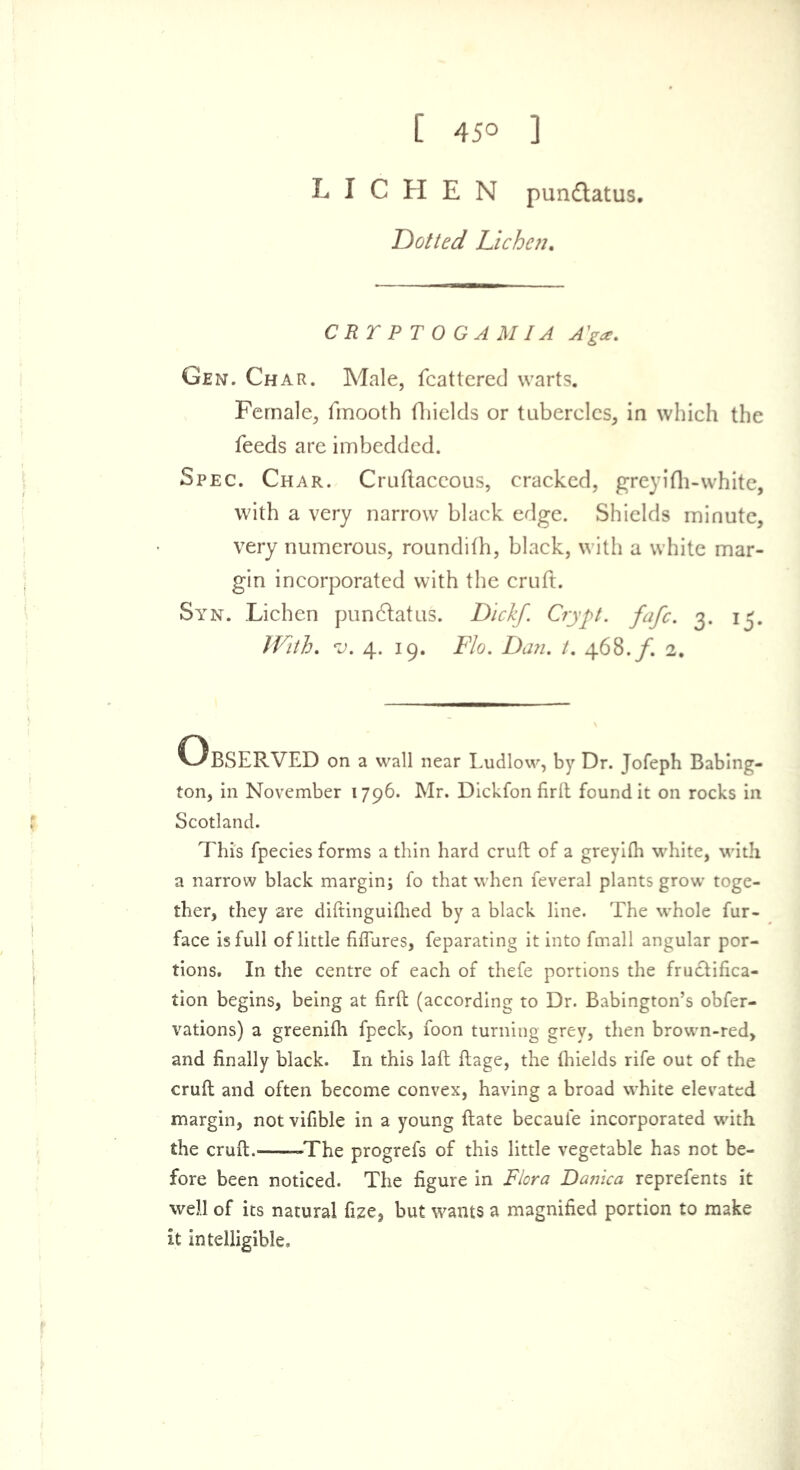 [ 45° ] LICHEN pundlatus. Dotted Lichen. CRT PTOGA MIA A'ga. Gen. Char. Male, fcattered warts. Female, fmooth fhields or tubercles, in which the feeds are imbedded. Spec. Char. Cruftaccous, cracked, greyifh-white, with a very narrow black edge. Shields minute, very numerous, roundifh, black, with a white mar- gin incorporated with the cruft. Syn. Lichen puneftatus. Dickf. Crypt, fafe. 3. 15. With. v. 4. 19. Flo. Dan. t. 468. f. 2. Observed on a wall near Ludlow, by Dr. Jofeph Babing- ton, in November 1796. Mr. Dickfon firlt found it on rocks in Scotland. This fpecies forms a thin hard cruft of a greyilh white, with a narrow black margin; fo that when feveral plants grow toge- ther, they are diftinguifhed by a black line. The whole fur- face is full of little fiflures, feparating it into fmall angular por- tions. In the centre of each of thefe portions the fructifica- tion begins, being at firft (according to Dr. Babington’s obfer- vations) a greenifh fpeck, foon turning grey, then brown-red, and finally black. In this laft ftage, the fhields rife out of the cruft and often become convex, having a broad white elevated margin, not vifible in a young ftate becaule incorporated with the cruft. -The progrefs of this little vegetable has not be- fore been noticed. The figure in Flora Dajiica reprefents it well of its natural fize, but wants a magnified portion to make it intelligible.