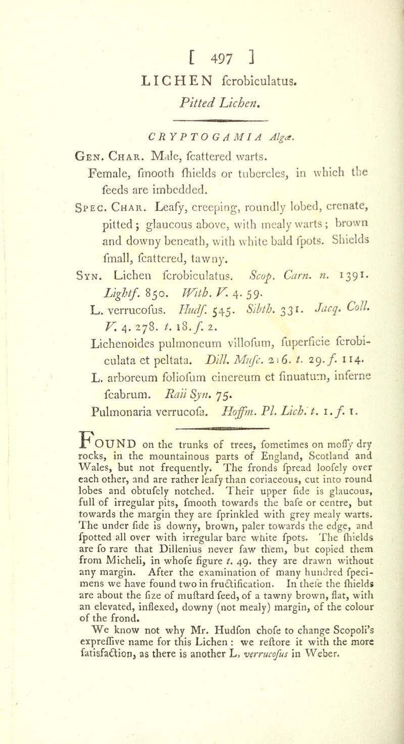 [ 497 ] LICHEN fcrobiculatus. Pitted Lichen. CRYPTO G A MIA Alga. Gen. Char. Male, fcatterecl warts. Female, fmooth fhields or tubercles, in which the feeds are imbedded. Spec. Char. Leafy, creeping, roundly lobed, crenate, pitted ; glaucous above, with mealy warts ; brown and downy beneath, with white bald fpots. Shields fmall, fcattered, tawny. Syn. Lichen fcrobiculatus. Scop. Carn. n. 1391 - Lightf. 850. With. V. 4. 59. L. verrucofus. Hudf. 545. Sibth. 331. Jacq* Coll. V. 4. 278. t. 18./. 2. Lichenoides pulmoneum villofum, fuperficie fcrobi- culata et peltata. Dill. Mufc. 216. t. 29./. 114. L. arboreum foliofum cinereum et finuatum, inferne fcabrum. Rail Syn. 75. Pulmonaria verrucofa. Hoffm. PI. Lich.t. 1. f. I. Found on the trunks of trees, fometimes on mofly dry rocks, in the mountainous parts of England, Scotland and Wales, but not frequently. The fronds fpread loofely over each other, and are rather leafy than coriaceous, cut into round lobes and obtufely notched. Their upper fide is glaucous, full of irregular pits, fmooth towards the bafe or centre, but towards the margin they are fprinkled with grey mealy warts. The under fide is downy, brown, paler towards the edge, and fpotted all over with irregular bare white fpots. The fhields are fo rare that Dillenius never faw them, but copied them from Micheli, in whofe figure t. 49. they are drawn without any margin. After the examination of many hundred fpeci- mens we have found two in fructification. In thefe the fhields are about the fize of muftard feed, of a tawny brown, flat, with an elevated, inflexed, downy (not mealy) margin, of the colour of the frond. We know not why Mr. Hudfon chofe to change Scopolfs expreffive name for this Lichen : we reftore it with the more fatisfa&ion, as there is another L, verrucofus in Weber.