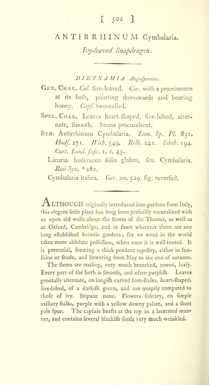 ANTIRRHINUM Cymbalaria. Ivy-leaved Snapdragon. DID Y N A MIA Angiofpervria. Gen. Char. Cal. five-leaved. Cor. with a prominence at its bafe, pointing downwards and bearing honey. Capf. two-celled. Spec. Char. Leaves heart-fhaped, five-lobed, alter- nate, fmooth. Stems procumbent. Syn. Antirrhinum Cymbalaria. Linn. Sp. PL 851, Hudf. 271. With, 49. Relh. 242. 194. Curt. Lond.fafc. 1. L 45. Linaria hederaceo folio glabro, feu Cymbalaria. ifoii Sy/z. *282. Cymbalaria italica. Ger. em. 529. fig. reverfed. Although originally introduced into gardens from Italy, this elegant little plant has long been perfectly naturalized with us upon old walls about the (hores of the Thames, as well as at Oxford, Cambridge, and in fnort wherever there are any long eftablifhed botanic gardens •, for no weed in the world takes more abfolute pofTeflion, when once it is well rooted. It is perennial, forming a thick pendent tapeftry, either in fun- fhine or {hade, and flowering from May to the end of autumn. The ftems are trailing, very much branched, round, leafy. Every part of the herb is fmooth, and often purplilh. Leaves generally alternate, on longifh curved foot-ftalks, heart-fhaped, five-lobed, of a darkifli green, and not unaptly compared to thofe of ivy. Stipulse none. Flowers folitary, on Ample axillary ftalks, purple with a yellow downy palate, and a {hort pale fpur. The capfule burfts at the top in a lacerated man- ner, and contains feveral blackifh feeds very much wrinkled.