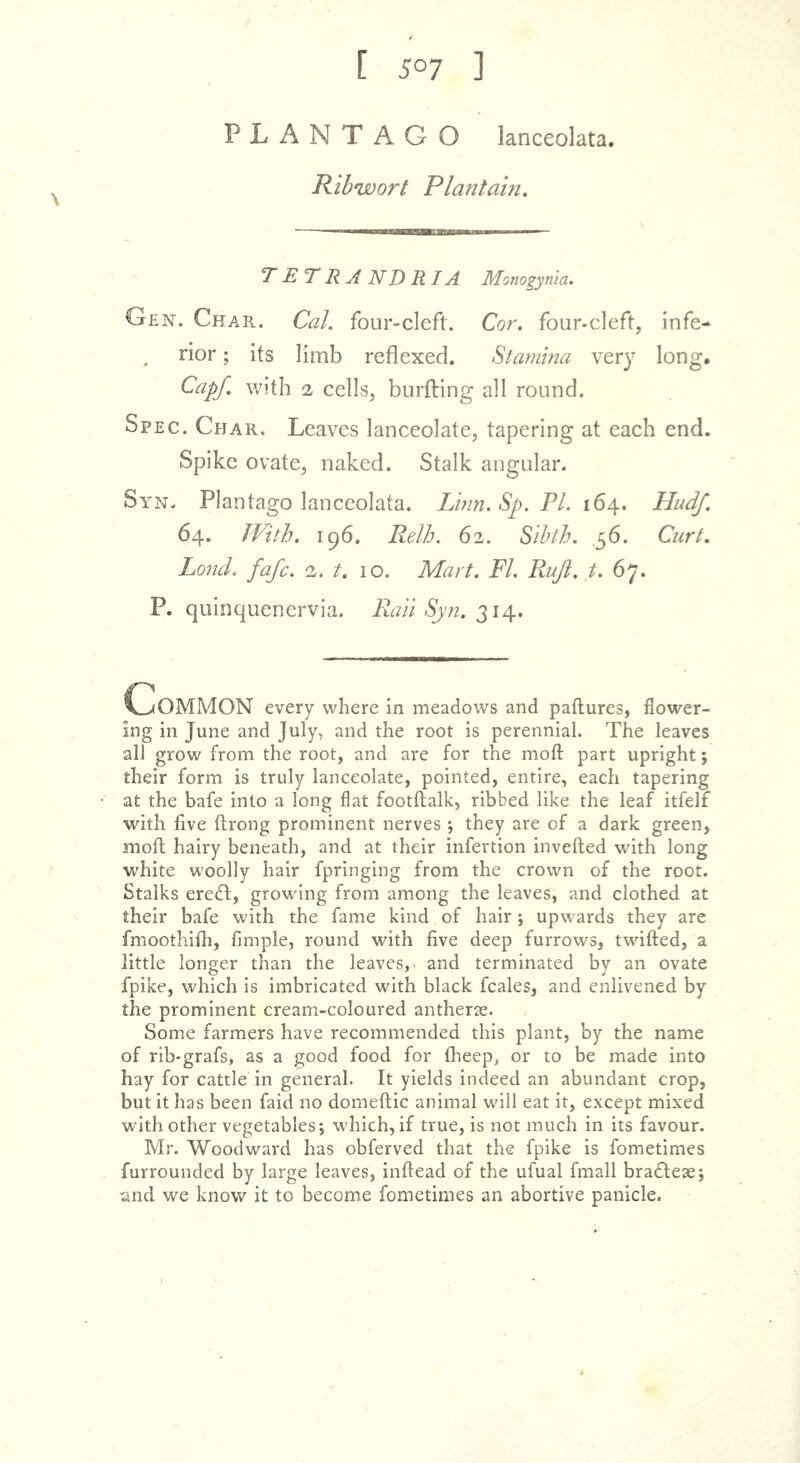 [ 507 ] PLANTAGO lanceolata. Ribwort Plantam, T ET R A N D R IA Monogynla. Gen. Char. Cal. four-cleft. Cor, four-cl eft, infe- rior ; its limb reflexed. Stamina ver}* long. Cap/, with 2 cells, burfling all round. Spec. Char. Leaves lanceolate, tapering at each end. Spike ovate, naked. Stalk angular. Syn. Plantago lanceolata. Linn. Sp. FI. 164. Hudf. 64. With. 196. Relh. 62. Sihth. .36. Curt. Lond. fafc. 2. t, 10. Mart. FI. Ruji. t. 67. P. quinquenervia. Rail Syn. Common every where in meadows and paflures, flower- ing in June and July, and the root is perennial. The leaves all grow from the root, and are for the mofl: part upright; their form is truly lanceolate, pointed, entire, each tapering at the bafe into a long flat footftalk, ribbed like the leaf itfelf with five ftrong prominent nerves -, they are of a dark green, moft hairy beneath, and at their infertion invefted with long white woolly hair fpringing from the crown of the root. Stalks eredf, growing from among the leaves, and clothed at their bafe with the fame kind of hair; upwards they are fmoothifh, fimple, round with five deep furrows, twifted, a little longer than the leaves, and terminated by an ovate fpike, which is imbricated with black fcales, and enlivened by the prominent cream-coloured antherte. Some farmers have recommended this plant, by the name of rlb-grafs, as a good food for fiieep, or to be made into hay for cattle in general. It yields indeed an abundant crop, but it has been faid no domefiic animal will eat it, except mixed with other vegetables; which, if true, is not much in its favour. Mr. Woodward has obferved that the fpike is fometimes furrounded by large leaves, inftead of the ufual fmall bradleae; ^md we know it to become fometimes an abortive panicle.