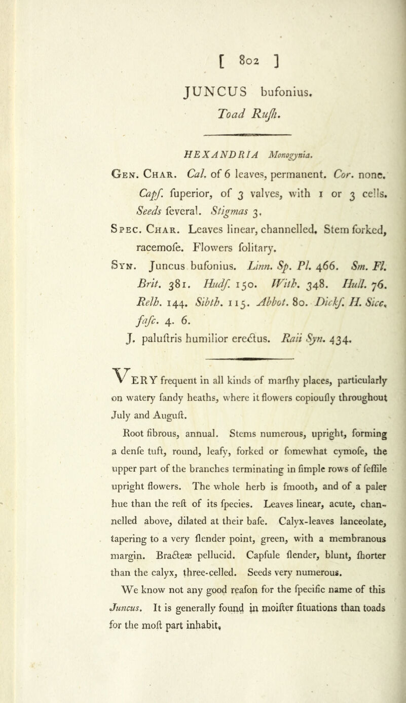 JUNCUS bufonius. Toad RuJIu HEXANDRIA Monogynia. Gen. Char. CaL of 6 leaves^ permanent. Cor, none. Ca/^. fuperior, of j valves, with i or 3 cells. Seeds feveral. Stigmas 3, Spec. Char. Leaves linear, channelled. Stem forked, racemofe. Flowers folitary. Syn. Juncus bufonius. Linn. Sp, PL 466. Sm. FL Brit. 381. liudf. 150. With. 348. Hull. 76. Relh. 144. Sibth. 115. Abbot, ^o. Dichf. II, Sicc^ fafe. 4. 6. J. paluhris humilior eredlus. Rail Sjn. 434. Very frequent in all kinds of marfliy places, particularly on watery fandy heaths, where it flowers copioufly throughout July and Auguft. Root fibrous, annual. Stems numerous, upright, forming a denfe tuft, round, leafy, forked or fomewhat cymofe, the upper part of the branches terminating in fimplc rows of feflile upright flowers. The whole herb is fmooth, and of a paler hue than the reft of its fpecies. Leaves linear, acute, chan- nelled above, dilated at their bafe. Calyx-leaves lanceolate, tapering to a very flender point, green, with a membranous margin. BraiSleas pellucid. Capfule flender, blunt, fhorter than the calyx, three-celled. Seeds very numerous. We know not any good reafon for the fpecific name of this Juncus, It is generally found in moifter lituations than toads for the moft part inhabit.
