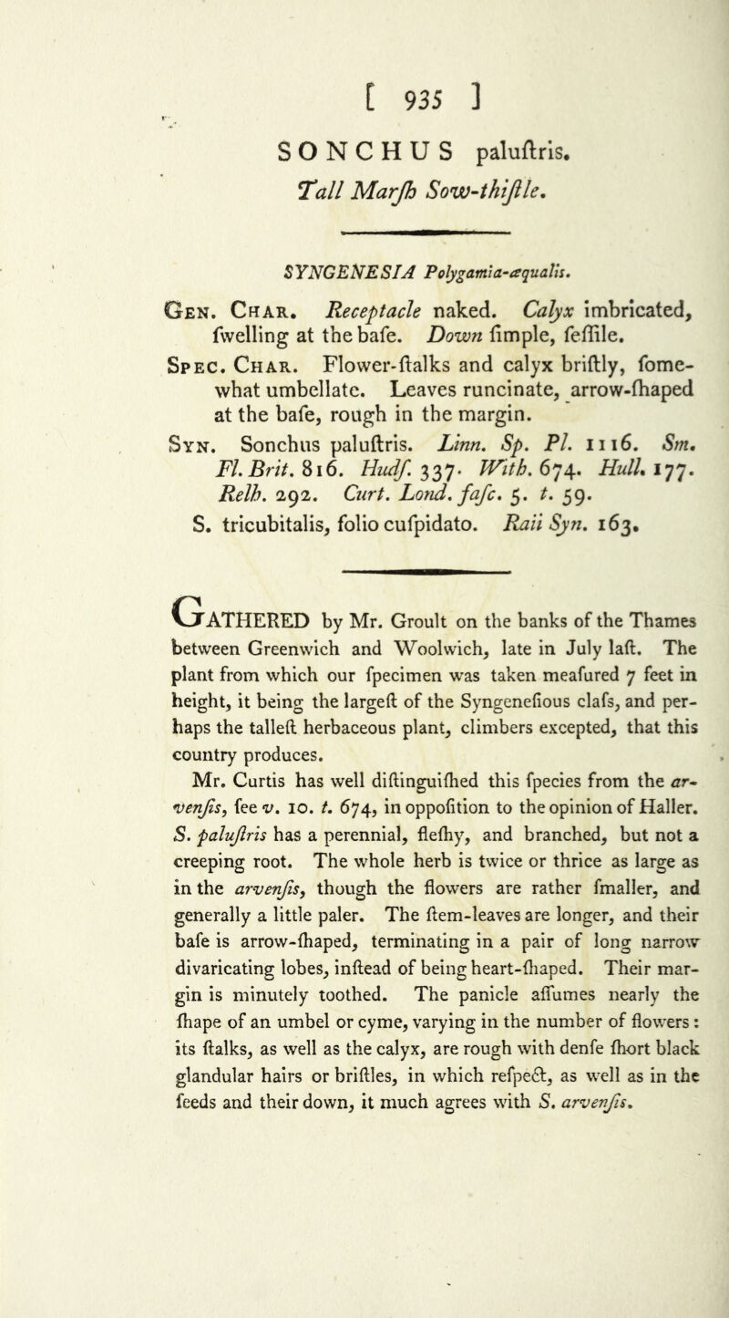 [ 935 ] SONCHUS paluftris. Tall Marjh Sow-thijlle. 5 YNGENE SI A Polygarni a-aqualis, Gen. Char. Receptacle naked. Calyx imbricated, fvvelling at the bale. Down fimple, feflile. Spec. Char. Flower-(balks and calyx briftly, fome- what umbellate. Leaves runcinate, arrow-fhaped at the bate, rough in the margin. Syn. Sonchus paluftris. Linn. Sp. PL 1116. Sm. FI. Brit. 816. Hudf. 337. With. 674. HulL 177. Relh. 292. Cart. Land, fafc. 5. t. 59. S. tricubitalis, folio cufpidato. Raii Syn. 163. Gathered by Mr. Groult on the banks of the Thames between Greenwich and Woolwich, late in July lad. The plant from which our fpecimen was taken meafured 7 feet in height, it being the larged of the Syngenefious clafs, and per- haps the tailed herbaceous plant, climbers excepted, that this country produces. Mr. Curtis has well didinguifhed this fpecies from the ar~ venjis, fee v. 10. t. 674, in oppofition to the opinion of Haller. S. palujlris has a perennial, flefhy, and branched, but not a creeping root. The whole herb is twice or thrice as large as in the arvenfis, though the flowers are rather fmaller, and generally a little paler. The flem-leaves are longer, and their bafe is arrow-fhaped, terminating in a pair of long narrow divaricating lobes, inftead of being heart-fhaped. Their mar- gin is minutely toothed. The panicle aflumes nearly the fhape of an umbel or cyme, varying in the number of flowers : its (talks, as well as the calyx, are rough with denfe fhort black glandular hairs or bridles, in which refpe£t, as well as in the feeds and their down, it much agrees with S. arvenfis.