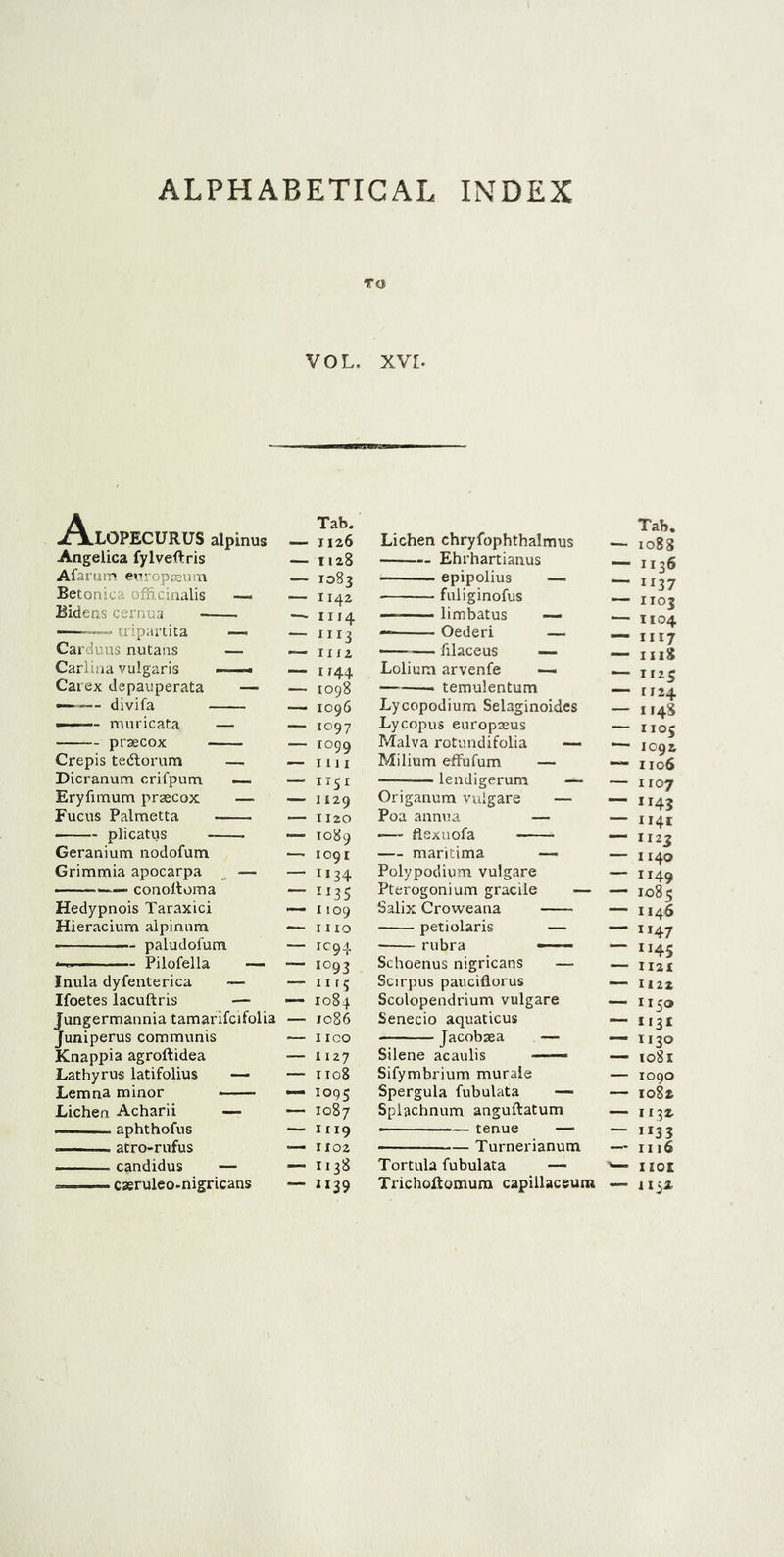 ALPHABETICAL INDEX TO VOL. XVI. AxOPECURUS alpinus Angelica fylveftris A fa rum europseum Betonica officinalis ~ Bidens cernua ———- tripartita — Carduus nutans — Carlina vulgaris » ■■ Carex depauperata — <- muricata — praecox Crepis tedlorum — Dicranum crifpum — Eryfimum prsecox —■ Fucus Palmetta —— plicatus Geranium nodofum Grimmia apocarpa _ — ■ ■ ■ —— conoltoma Hedypnois Taraxici Hieracium alpinnm paludofum *-——— Pilofella — Inula dyfenterica —• Ifoetes lacuftris — Jungermannia tamarifcifolia Juniperus communis Knappia agroftidea Lathy rus latifolius — Lemna minor Lichen Acharii — -n aphthofus  atro-rufus ■ ■ . candidus — — caeruleo.nigricans Tab. — 1126 — 1128 — 1083 — 1142  H14 — 1113 —- 111 i — 1144 — 1098 —■ 1096 — 1097 — 1099 — 1111 — 1151 — 1129 — 1120 — 1089 — 1091 — 1134 — 1 *35 — 1109 — 1 no — IC94 “ 1093 — 11 rj •— 1084 — 1086 I ICO — 1127 — 1108 — 1095 — 1087 — 1119 1102 II38 — II39 Lichen chryfophthalmus Ehrhartianus epipolius — fuliginofus limbatus •— — Oederi — ——— filaceus — Lolium arvenfe — temulentum Lycopodium Selaginoides Lycopus europasus Malva rotundifolia — Milium effufum — * lendigerum — Origanum vulgare — Poa annua — ■— flexuofa — maritima — Polypodium vulgare Pterogonium gracile — Salix Croweana petiolaris — Schoenus nigricans — Scirpus pauciflorus Scolopendrium vulgare Senecio aquaticus Jacobaea — Silene acaulis —— Sifymbrium murale Spergula fubulata — Splachnum anguftatum —— ——— tenue — Turner ianum Tortula fubulata — Trichoftomum capillaceum Tab. — 1088 —— 1136 — 1137 — 1103 — 1104 — 1117 — 1118 — II2S II24 — II48 — IIO5 IO92 ~ II06 I 107 — H43 II4I ~ II2J 1140 — ”49 — 1085 — 1146 ~ 1147 — 1145 II2£ 11 22 ~ ^5® — I I3I — II30 — I08l IO9O 1082 — H32 ' IIOI — il52