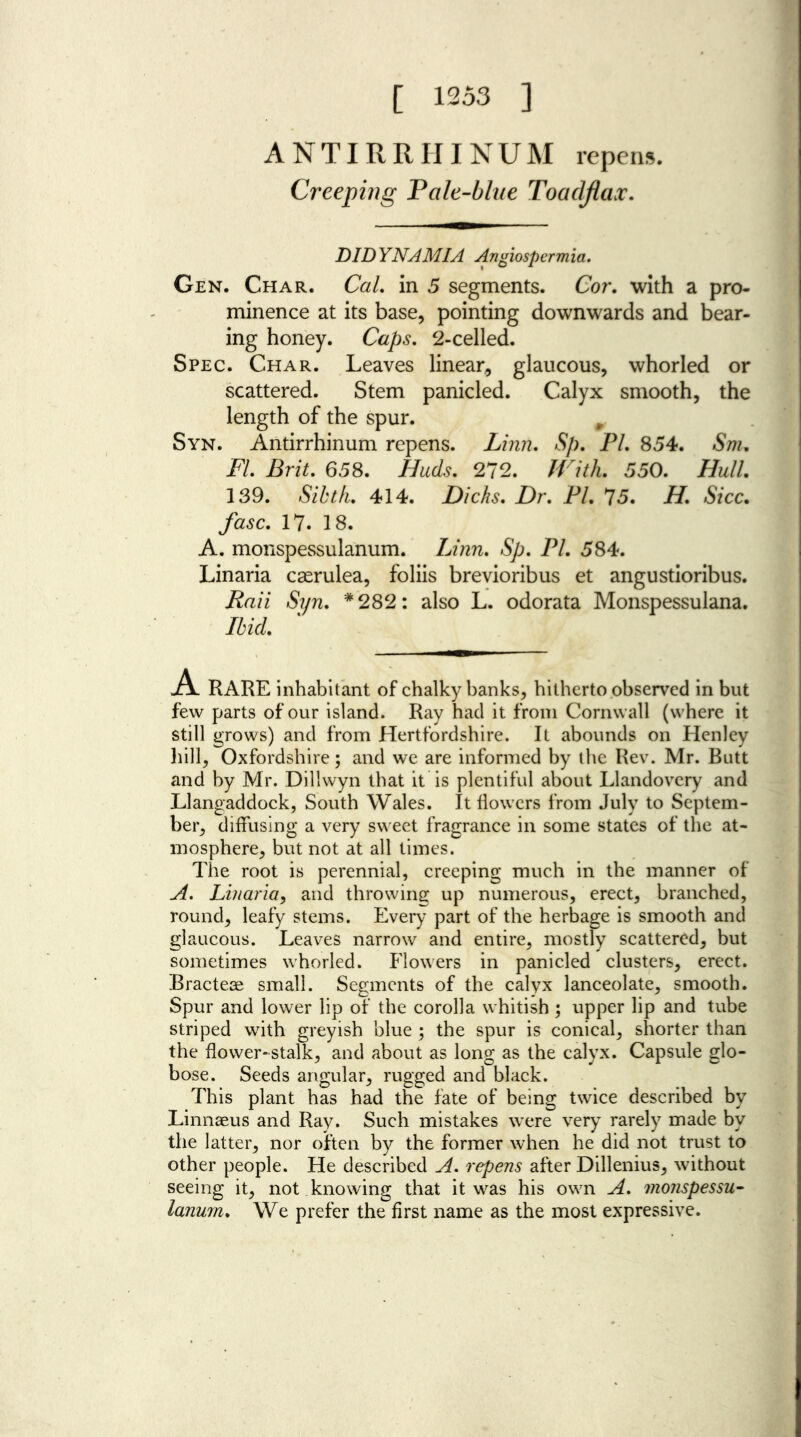 [ 1253 ] ANTIRRHINUM repens. Creeping Tale-blue Toadflax. DID YNAMIA Angiospermia. Gen. Char. Cal. in 5 segments. Cor. with a pro- minence at its base, pointing downwards and bear- ing honey. Caps. 2-celled. Spec. Char. Leaves linear, glaucous, whorled or scattered. Stem panicled. Calyx smooth, the length of the spur. , Syn. Antirrhinum repens. Linn, Sp. Pl. 854. Sm. FI Brit, 658. Huds, 272. With, 550. Hull, 139. Sihth, 414. Dicks, Dr, PI, 75. H, Sicc. fasc, 17. 18. A. monspessulanum. Linn, Sp, PI, 584. Linaria casrulea, foliis brevioribus et angustioribus. Raii Syn, *282: also L. odorata Monspessulana. Ibicl. A RARE inhabitant of chalky banks, hitherto observed in but few parts of our island. Ray had it from Cornwall (where it still grows) and from Hertfordshire. It abounds on Henley hill, Oxfordshire; and we are informed by the Rev. Mr. Butt and by Mr. Dillwyn that it is plentiful about Llandovery and Llangaddock, South Wales. It flowers from July to Septem- ber, diffusing a very sweet fragrance in some states of the at- mosphere, but not at all times. The root is perennial, creeping much in the manner of A. Linaria, and throwing up numerous, erect, branched, round, leafy stems. Every part of the herbage is smooth and glaucous. Leaves narrow and entire, mostly scattered, but sometimes whorled. Flowers in panicled clusters, erect. Bractese small. Segments of the calyx lanceolate, smooth. Spur and lower lip of the corolla whitish ; upper lip and tube striped with greyish blue ; the spur is conical, shorter than the flower-stalk, and about as long as the calyx. Capsule glo- bose. Seeds angular, rugged and black. This plant has had the fate of being twice described by Linnaeus and Ray. Such mistakes were very rarely made by the latter, nor often by the former when he did not trust to other people. He described A. repens after Dillenius, without seeing it, not knowing that it was his own A. monspessu- lanum. We prefer the first name as the most expressive.