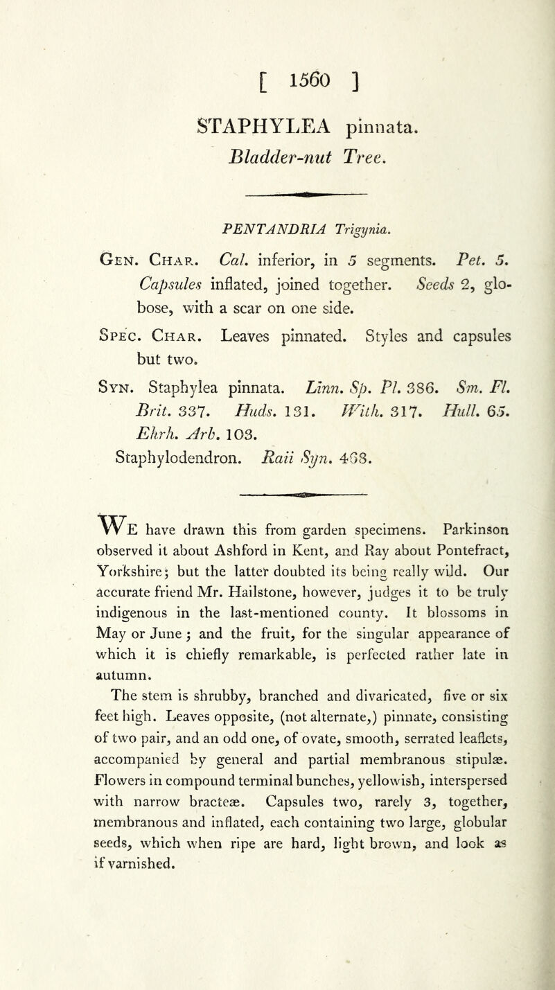 [ 1560 ] STAPHYLEA pinnata. Bladder-nut Tree. PENTANDRIA Trigynia. Gen. Chap*. Cal. inferior, in 5 segments. Pet. 5. Capsules inflated, joined together. Seeds 2, glo- bose, with a scar on one side. Spec. Char. Leaves pinnated. Styles and capsules but two. Syn. Staphylea pinnata. Linn. Sp. Pi. 386. Sm. FL Brit. 337. Buds. 131. Willi. 317. Hull. 65. Ekrh. Arh. 103. Staphylodendron. /Sz/ra* 468. We have drawn this from garden specimens. Parkinson observed it about Ashford in Kent, and Ray about Pontefract, Yorkshire; but the latter doubted its being really wild. Our accurate friend Mr. Hailstone, however, judges it to be truly indigenous in the last-mentioned county. It blossoms in May or June; and the fruit, for the singular appearance of which it is chiefly remarkable, is perfected rather late in autumn. The stem is shrubby, branched and divaricated, five or six feet high. Leaves opposite, (not alternate,) pinnate, consisting of two pair, and an odd one, of ovate, smooth, serrated leaflets, accompanied by general and partial membranous stipulae. Flowers in compound terminal bunches, yellowish, interspersed with narrow bracteae. Capsules two, rarely 3, together, membranous and inflated, each containing two large, globular seeds, which when ripe are hard, light brown, and look as if varnished.