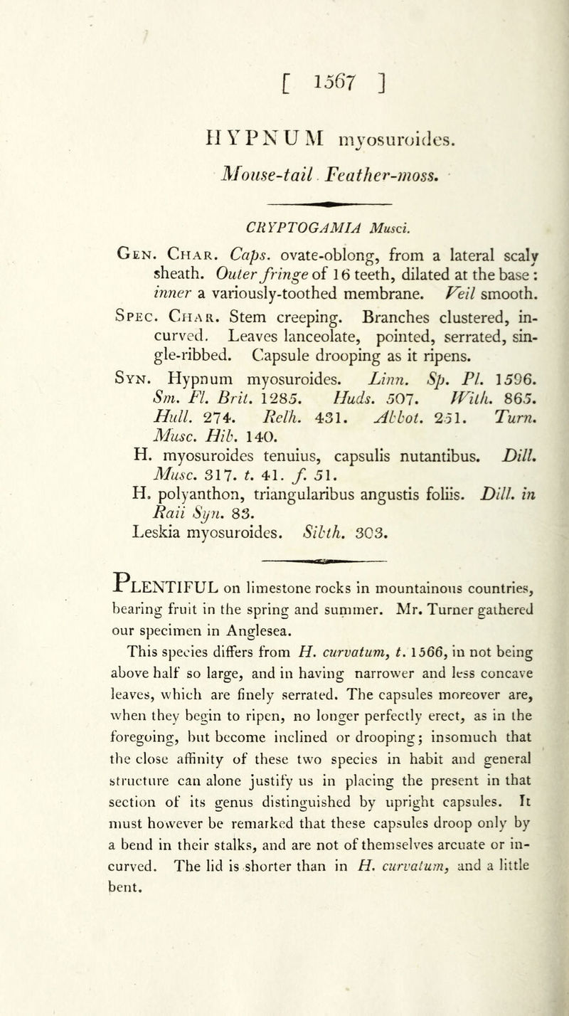 [ 1567 ] II Y P N U M myosuroides. Mouse-tail Feather-moss. CR YP TOGA MIA Musci. Gen. Char. Caps, ovate-oblong, from a lateral scaly sheath. Outer fringe of 16 teeth, dilated at the base: inner a variously-toothed membrane. Veil smooth. Spec. Char. Stem creeping. Branches clustered, in- curved. Leaves lanceolate, pointed, serrated, sin- gle-ribbed. Capsule drooping as it ripens. Syn. Hypnum myosuroides. Linn. Sp. PL 1596. Sm. FL Brit. 1285. Huds. 507. With. 865. Hull. 274-. Relh. 431. Mbbot. 251. Turn, Muse. Hib, 140. H. myosuroides tenuius, capsulis nutantibus. Dill, Muse, 317. t, 41. /. 51. H. polyanthon, triangularibus angustis foliis. Dill, in Raii Syn. 83. Leskia myosuroides. Sibth. 303. Plentiful on limestone rocks in mountainous countries, bearing fruit in the spring and summer. Mr. Turner gathered our specimen in Anglesea. This species differs from H. curvatum, t. 1566, in not being above half so large, and in having narrower and less concave leaves, which are finely serrated. The capsules moreover are, when they begin to ripen, no longer perfectly erect, as in the foregoing, but become inclined or drooping; insomuch that the close affinity of these two species in habit and general structure can alone justify us in placing the present in that section of its genus distinguished by upright capsules. It must however be remarked that these capsules droop only by a bend in their stalks, and are not of themselves arcuate or in- curved. The lid is shorter than in H. curvatum, and a little bent.