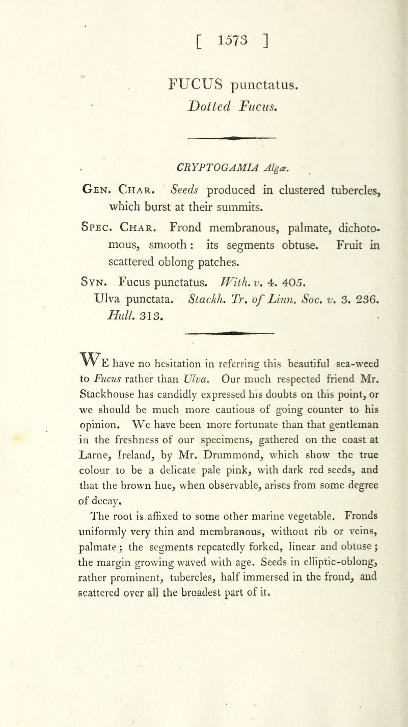 [ 1573 ] FUCUS punctatus. Dotted Fucus. CRYPTOGAMIA Alga. Gen. Char. Seeds produced in clustered tubercles, which burst at their summits. Spec. Char. Frond membranous, palmate, dichoto- mous, smooth: its segments obtuse. Fruit in scattered oblong patches. Syn. Fucus punctatus. With. v. 4. 405. Ulva punctata. Stackh. Tr, of Linn. Soc. v. 3. 236. Hull. 313. WE have no hesitation in referring this beautiful sea-weed to Fucus rather than Ulva. Our much respected friend Mr. Stackhouse has candidly expressed his doubts on this point, or we should be much more cautious of going counter to his opinion. We have been more fortunate than that gentleman in the freshness of our specimens, gathered on the coast at Larne, Ireland, by Mr. Drummond, which show the true colour to be a delicate pale pink, with dark red seeds, and that the brown hue, when observable, arises from some degree of decay. The root is, affixed to some other marine vegetable. Fronds uniformly very thin and membranous, without rib or veins, palmate; the segments repeatedly forked, linear and obtuse; the margin growing waved with age. Seeds in elliptic-oblong, rather prominent, tubercles, half immersed in the frond, and scattered oyer all the broadest part of it.