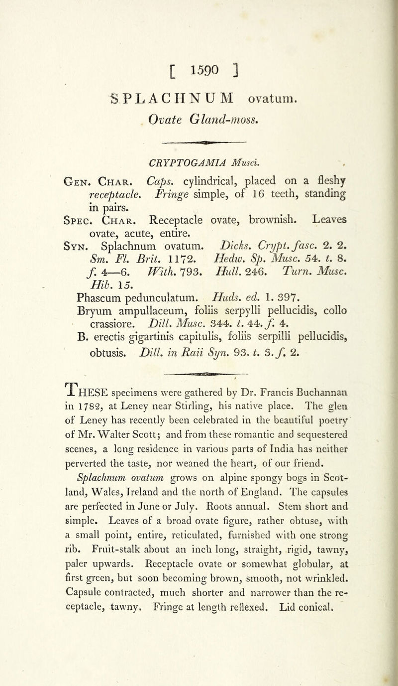 SPLACHNUM ovatum. Ovate Gland-moss. CRYPTOGAMIA Musci. Gen. Char. Caps. cylindrical, placed on a fleshy receptacle. Fringe simple, of 16 teeth, standing in pairs. Spec. Char. Receptacle ovate, brownish. Leaves ovate, acute, entire. Syn. Splachnum ovatum. Dicks. Crypt. fasc. 2. 2. /Sm. jP7. i?n7. 1172. Hedw. Muse. 54. £. 8. /. 4—6. /Fz7A. 793. Hull. 246. Twrrc. Muse. Hib. 15. Phascum pedunculatum. Huds. ed. 1. 397. Bryum ampullaceum, foliis serpylli pellucidis, collo crassiore. Dz7/. Muse. 344. 44. 4. B. erectis gigartinis capitulis, foliis serpilli pellucidis, obtusis. jD///. m Raii Syn. 93. t. S.f. 2. ThESE specimens were gathered by Dr. Francis Buchannan in 1782, at Leney near Stirling, his native place. The glen of Leney has recently been celebrated in the beautiful poetry of Mr. Walter Scott; and from these romantic and sequestered scenes, a long residence in various parts of India has neither perverted the taste, nor weaned the heart, of our friend. Splachnum ovatum grows on alpine spongy bogs in Scot- land, Wales, Ireland and the north of England. The capsules are perfected in June or July. Roots annual. Stem short and simple. Leaves of a broad ovate figure, rather obtuse, with a small point, entire, reticulated, furnished with one strong rib. Fruit-stalk about an inch long, straight, rigid, tawny, paler upwards. Receptacle ovate or somewhat globular, at first green, but soon becoming brown, smooth, not wrinkled. Capsule contracted, much shorter and narrower than the re- ceptacle, tawny. Fringe at length reflexed. Lid conical.