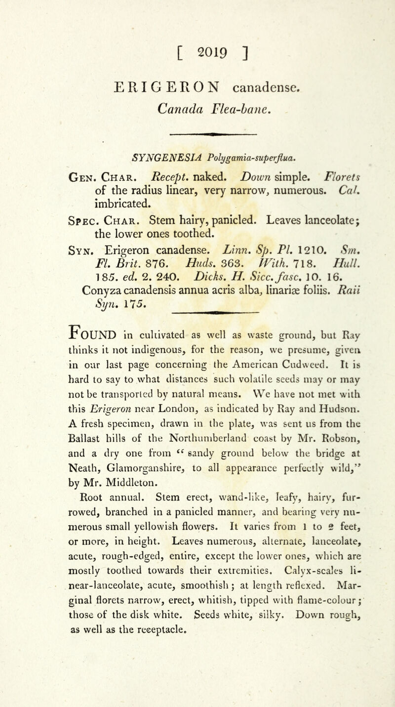 [ 2019 ] ERIGERON canadense. Canada Flea-bane. SYNGENESIA Polygamia-superflua. Gen. Char. Recept. naked. Down simple. Florets of the radius linear, very narrow, numerous. CaL imbricated. Spec. Char. Stem hairy, panicled. Leaves lanceolate; the lower ones toothed. Syn. Erigeron canadense. Linn. Sp. PL 1210. Sm. FL Brit. 876. Buds. 363. With. 718. Hull. 185. ed. 2. 240. Dicks. H. Sicc.fasc. 10. 16. Conyza canadensis annua acris alba, iinariae foliis. Raii Syn. 175. Found in cultivated as well as waste ground, but Ray thinks it not indigenous, for the reason, we presume, given in our last page concerning the American Cudweed. It is hard to say to what distances such volatile seeds may or may not be transported by natural means. YVe have not met with this Erigeron near London, as indicated by Ray and Hudson. A fresh specimen, drawn in the plate, was sent us from the Ballast hills of the Northumberland coast by Mr. Robson, and a dry one from “ sandy ground below the bridge at Neath, Glamorganshire, to all appearance perfectly wild,’* by Mr. Middleton. Root annual. Stem erect, wand-like, leafy, hairy, fur- rowed, branched in a panicled manner, and bearing very nu- merous small yellowish flowers. It varies from 1 to g feet, or more, in height. Leaves numerous, alternate, lanceolate, acute, rough-edged, entire, except the lower ones, which are mostly toothed towards their extremities. Calyx-scales li- near-lanceolate, acute, smoothish ; at length reflexed. Mar- ginal florets narrow, erect, whitish, tipped with flame-colour; those of the disk white. Seeds white, silky. Down rough, as well as the receptacle.