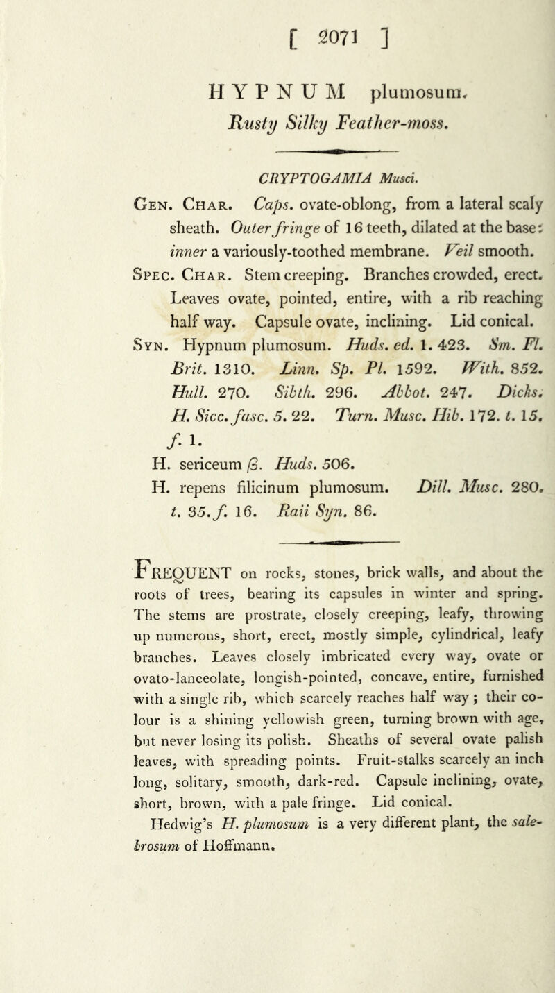 [ 2071 ] HYPNU M plumosum. Rusty Silky Feather-moss. CRYPTOGAMIA Musci. Gen. Char. Caps. ovate-oblong, from a lateral scaly sheath. Outer fringe of 16 teeth, dilated at the base: inner a variously-toothed membrane. Veil smooth. Spec. Char. Stem creeping. Branches crowded, erect. Leaves ovate, pointed, entire, with a rib reaching half way. Capsule ovate, inclining. Lid conical. Syn. Hypnum plumosum. Huds. ed. 1. 423. Sm. FI. Brit. 1310. Linn. Sp. PL 1592. With. 852. Hull. 270. Sibth. 296. Abbot. 247. Dicks. H. Sicc.fasc. 5. 22. Turn. Muse. Hib. 172. t. 15, /•I. H. sericeum Huds. 506. H. repens filicinum plumosum. Dill. Muse. 280. t. 35.yi 16. i&m Syn. 86. Frequent on rocks, stones, brick walls, and about the roots of trees, bearing its capsules in winter and spring. The stems are prostrate, closely creeping, leafy, throwing up numerous, short, erect, mostly simple, cylindrical, leafy branches. Leaves closely imbricated every way, ovate or ovato-lanceolate, longish-pointed, concave, entire, furnished with a single rib, which scarcely reaches half way; their co- lour is a shining yellowish green, turning brown with age, but never losing its polish. Sheaths of several ovate palish leaves, with spreading points. Fruit-stalks scarcely an inch long, solitary, smooth, dark-red. Capsule inclining, ovate, short, brown, with a pale fringe. Lid conical. Hedwig’s H. plumosum is a very different plant, the sale- Irosum of Hoffmann.