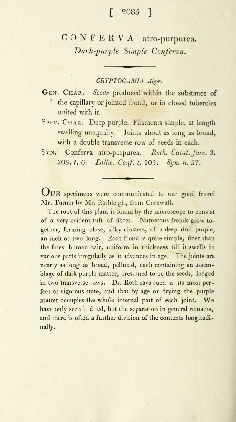 [ 2085 ] C 0 N F E R V A atro-purpurea. Dark-purple Simple Conferva. CRYPTOGAMIA Algce. Gen. Char. Seeds produced within the substance of the capillary or jointed frond, or in closed tubercles united with it. Spec. Char. Deep purple. Filaments simple, at length swelling unequally. Joints about as long as broad, with a double transverse row of seeds in each. Syn. Conferva atro-purpurea. Roth. Catal. fasc. 3. 208. t. 6. Dillw. Conf. t. 103. Syn. n. 57. UUR specimens were communicated to our good friend Mr. Turner by Mr. Rashleigh, from Cornwall. The root of this plant is found by the microscope to consist of a very evident tuft of fibres. Numerous fronds grow to- gether, forming close, silky clusters, of a deep dull purple, an inch or two long. Each frond is quite simple, finer than the finest human hair, uniform in thickness till it swells in various parts irregularly as it advances in age. The joints are nearly as long as broad, pellucid, each containing an assem- blage of dark purple matter, presumed to be the seeds, lodged in two transverse rows. Dr. Roth says such is its most per- fect or vigorous state, and that by age or drying the purple matter occupies the whole internal part of each joint. We have only seen it dried, but the separation in general remains, and there is often a further division of the contents longitudi- nally.