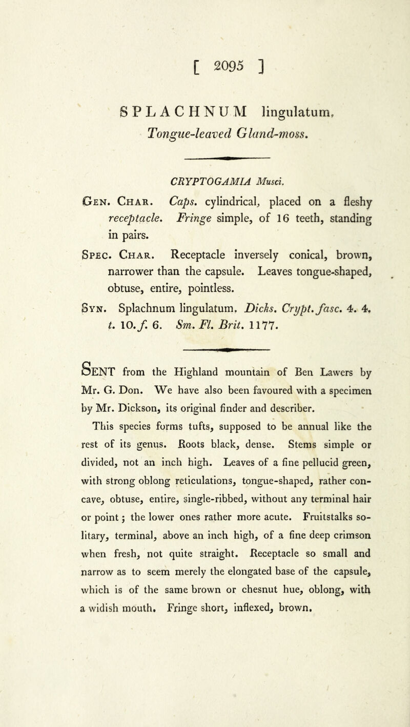 [ 2095 ] SPLACHNUM lingulatum. Tongue-leaved Gland-moss. CRYPTOGAMIA Musci. Gen. Char. Caps, cylindrical, placed on a fleshy receptacle. Fringe simple, of 16 teeth, standing in pairs. Spec. Char. Receptacle inversely conical, brown, narrower than the capsule. Leaves tongue-shaped, obtuse, entire, pointless. Syn. Splachnum lingulatum. Dicks. Crypt, fasc. 4. 4. t. 10./. 6. Sm. FI. Brit. 1177. DENT from the Highland mountain of Ben Lawers by Mr. G. Don. We have also been favoured with a specimen by Mr. Dickson, its original finder and describer. This species forms tufts, supposed to be annual like the rest of its genus. Roots black, dense. Stems simple or divided, not an inch high. Leaves of a fine pellucid green, with strong oblong reticulations, tongue-shaped, rather con- cave, obtuse, entire, single-ribbed, without any terminal hair or point; the lower ones rather more acute. Fruitstalks so- litary, terminal, above an inch high, of a fine deep crimson when fresh, not quite straight. Receptacle so small and narrow as to seem merely the elongated base of the capsule, which is of the same brown or chesnut hue, oblong, with a widish mouth. Fringe short, indexed, brown.