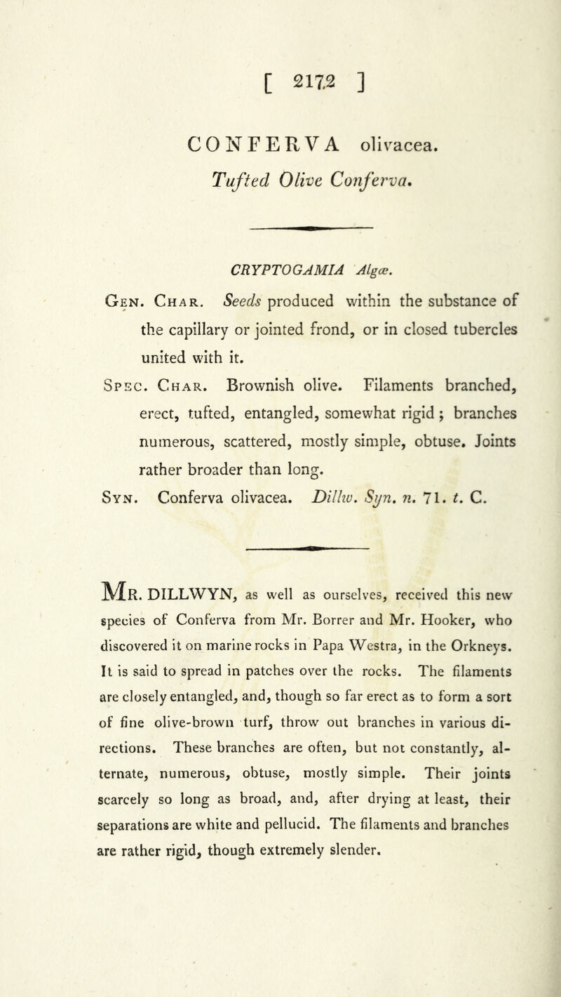 [ 217.2 ] CONFERVA olivacea. Tufted Olive Conferva. CRYPTOGAMIA Algae. Gen. Char. Seeds produced within the substance of the capillary or jointed frond, or in closed tubercles united with it. Spec. Char. Brownish olive. Filaments branched, erect, tufted, entangled, somewhat rigid; branches numerous, scattered, mostly simple, obtuse. Joints rather broader than long. Syn. Conferva olivacea. Dilliu. Syn. n. 71. t. C. Mr. DILLWYN, as well as ourselves, received this new species of Conferva from Mr. Borrer and Mr. Hooker, who discovered it on marine rocks in Papa Westra, in the Orkneys. It is said to spread in patches over the rocks. The filaments are closely entangled, and, though so far erect as to form a sort of fine olive-brown turf, throw out branches in various di- rections. These branches are often, but not constantly, al- ternate, numerous, obtuse, mostly simple. Their joints scarcely so long as broad, and, after drying at least, their separations are white and pellucid. The filaments and branches are rather rigid, though extremely slender.