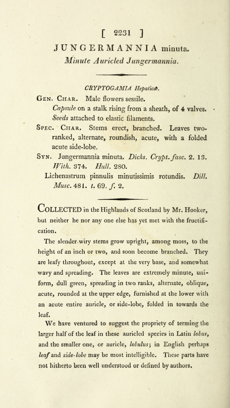 [ 2231 ] JUNGERMANNIA minuta. Minute Auricled Jungermannia. CRYPTOGAMIA Hepatic#. Gen. Char. Male flowers sessile. Capsule on a stalk rising from a sheath, of 4 valves. • Seeds attached to elastic filaments. Spec. Char. Stems erect, branched. Leaves two- ranked, alternate, roundish, acute, with a folded acute side-lobe. Syn. Jungermannia minuta. Dicks. Crypt, fasc. 2. 13. With. 374. Hull. 280. Lichenastrum pinnulis minutissimis rotundis. Dill. Muse. 481. U 69. /. 2. COLLECTED in the Highlands of Scotland by Mr. Hooker, but neither he nor any one else has yet met with the fructifi- cation. The slender wiry stems grow upright, among moss, to the height of an inch or two, and soon become branched. They are leafy throughout, except at the very base, and somewhat wavy and spreading. The leaves are extremely minute, uni- form, dull green, spreading in two ranks, alternate, oblique, acute, rounded at the upper edge, furnished at the lower with an acute entire auricle, or side-lobe, folded in towards the leaf. We have ventured to suggest the propriety of terming the larger half of the leaf in these auricled species in Latin lobus, and the smaller one, or auricle, lobulus; in English perhaps leaf and side-lobe may be most intelligible. These parts have not hitherto been well understood or defined by authors.