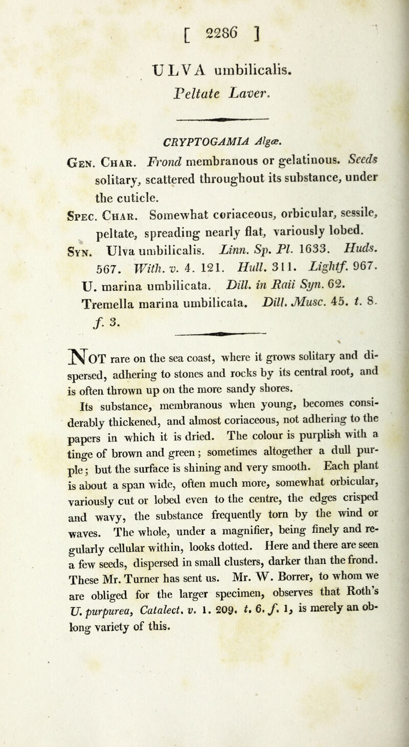 [ 2286 ] U L V A urnbilicalis. Peltate Laver. CRYPTOGAMIA Algce. Gen. Char. Frond membranous or gelatinous. Seeds solitary, scattered throughout its substance, under the cuticle. Spec. Char. Somewhat coriaceous, orbicular, sessile, peltate, spreading nearly flat, variously lobed. Syn. IJlva urnbilicalis. Linn. Sp. PI. 1633. Huds. 567. With. v. 4. 121. Hull. 311. Lightf. 967. U. marina umbilicata. Dill, in Raii Syn. 62. Tremella marina umbilicata. Dill. Muse. 45. t. 8. f.3. OT rare on the sea coast, where it grows solitary and di- spersed, adhering to stones and rocks by its central root, and is often thrown up on the more sandy shores. Its substance, membranous when young, becomes consi- derably thickened, and almost coriaceous, not adhering to the papers in which it is dried. The colour is purplish with a tinge of brown and green; sometimes altogether a dull pur- ple ; but the surface is shining and very smooth. Each plant is about a span wide, often much more, somewhat orbicular, variously cut or lobed even to the centre, the edges crisped and wavy, the substance frequently torn by the wind or waves. The whole, under a magnifier, being finely and re- gularly cellular within, looks dotted. Here and there are seen a few seeds, dispersed in small clusters, darker than the frond. These Mr. Turner has sent us. Mr. W. Borrer, to whom we are obliged for the larger specimen, observes that Roth’s U. purpurea, Catalect. v. 1. 209. *. 6. /. 1, is merely an ob- long variety of this.