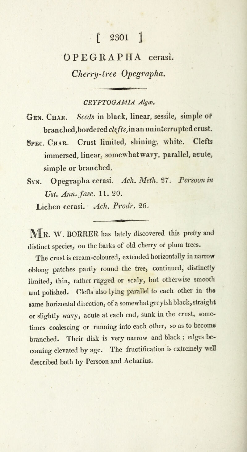 OPEGRAPHA cerasi. Cherry-tree Opegrapha. CRYPTOGAMIA Algcc. Gen. Char. Seeds in black, linear, sessile, simple or branched,bordered clefts,in an uninterru pted crust. Spec. Char. Crust limited, shining, white. Clefts immersed, linear, somewhat wayj, parallel, acute, simple or branched. Syn. Opegrapha cerasi. Ach. Meth. <27. Persoonin Ust. Ann. fcisc. 11. 20. Lichen cerasi. Ach. Proclr. 26. W. BORRER has lately discovered this pretty and distinct species* on the barks of old cherry or plum trees. The crust is cream-coloured* extended horizontally in narrow oblong patches partly round the tree* continued, distinctly limited* thin, rather rugged or scaly, but otherwise smooth and polished. Clefts also lying parallel to each other in the same horizontal direction* of a somewhat greyish black* straight or slightly wavy* acute at each end* sunk in the crust, some- times coalescing or running into each other* so as to become branched. Their disk is very narrow and black ; edges be- coming elevated by age. The fructification is extremely wed described both by Persoon and Acharius.
