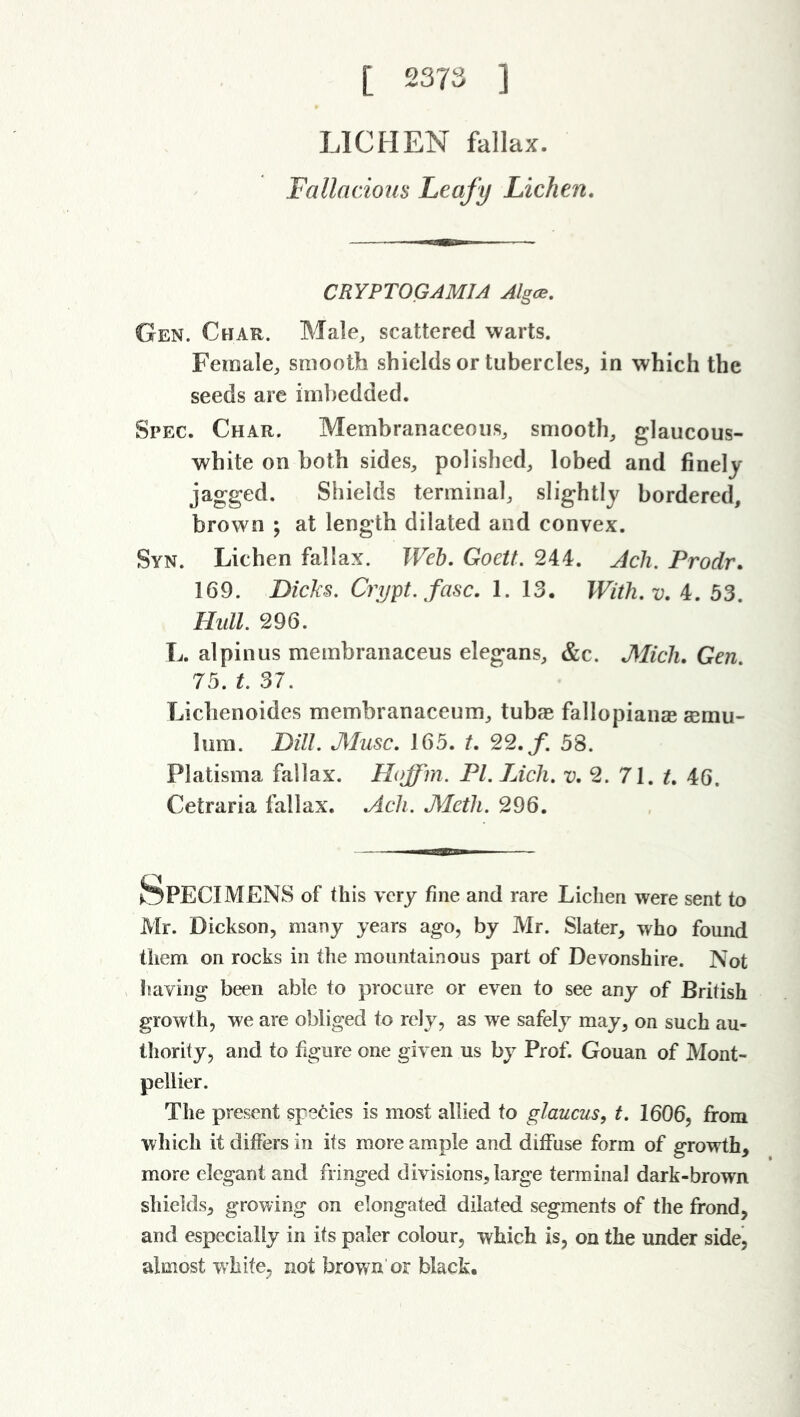 [ 2373 ] LICHEN fallax. Fallacious Leafy Lichen. CRYPTOGAMIA Algce. Gen. Char. Male, scattered warts. Female, smooth shields or tubercles, in which the seeds are imbedded. Spec. Char. Membranaceous, smooth, glaucous- white on both sides, polished, lobed and finely jagged. Shields terminal, slightly bordered, brown ; at length dilated and convex. 8yn. Lichen fallax. Web. Goett. 244. Ach. Prodr. 169. Dicks. Crypt, fasc. 1. 13. With. v. 4. 53. Hull. 296. L. alpinus membranaceus elegans, &c. Mich. Gen. 75. t. 37. Lichenoides membranaceum, tubas fallopianas semu- lum. Dill. Muse. 165. t. 22. f. 58. Platisma fallax. Hoffm. PI. Lich. v. 2. 71. t. 46. Cetraria fallax. Ach. Meth. 296. Specimens of this very fine and rare Lichen were sent to Mr. Dickson, many years ago, by Mr. Slater, who found them on rocks in the mountainous part of Devonshire. Not !laving been able to procure or even to see any of British growth, we are obliged to rely, as we safely may, on such au- thority, and to figure one given us by Prof. Gouan of Mont- pellier. The present species is most allied to glaucus, t. 1606, from which it differs in its more ample and diffuse form of growth, more elegant and fringed divisions, large terminal dark-brown shields, growing on elongated dilated segments of the frond, and especially in its paler colour, which is, on the under side, almost white, not brown or black.