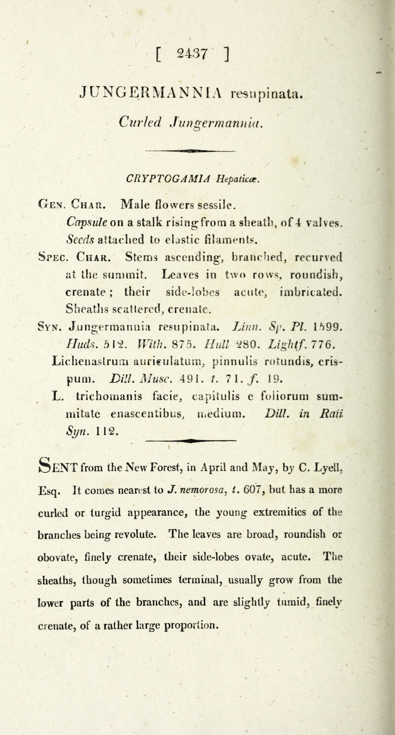 [ 2437 ] JUNGERMANNlA resupinata. Ciirhd Jungermannia, CRYPTOGAMIA Hepaticce. Gen. Char. Male flowers sessile. Capsule on a stalk rising^from a sbeatli, of 4 valves, attached to elastic filaments. Spec. Char. Stems ascending*, branched, recurved at the summit. Leaves in two rows, roundish, crenate; their side-lobes acute, imbricated. Sheatlis scattered, crenate. Syn. J.ungermaniiia resupinata. JJtni. Sp. PL 1.^99. Iluds. bl'2. IVilh, 875. Hull 80. Lightf. 776. Lichenastrum aurieulatum, pinnulis rotundis, cris- pum. Dill. Muse. ,491. t. 7 1./. 19. L. trichomanis facie, capitulis e foiiorum sum- mi tale enascenlibus, uiedium. Dill, in Raii Syn. 112. Sent from the New Forest, in April and May, by C. Lyell, Esq. It comes nearest to J. nemorosa^ t. 607, but has a more curled or turgid appearance, the young extremities of the branches being revolute. The leaves are broad, roundish or obovate, finely crenate, their side-lobes ovate, acute. The sheaths, though sometimes terminal, usually grow from the lower parts of the branches, and are slightly tumid, finely crenate, of a rather large proportion.