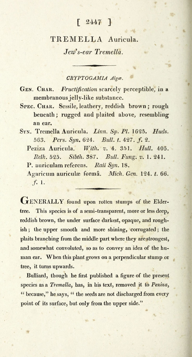 [ 2447 ] TREMELLA Auricula. Jer^s-ear Tremella, CRYPTOGAMIA Algce, Gen. Char. Fructification scarcely perceptible;, in a membranous jelly-like substance. Spec. Char. Sessile, leathery, reddish brown ; rough beneath; rugged and plaited above, resembling an ear. Syn. Tremella Auricula. Linn. Sp. PL 1625. Huds. 563. Pers. Syn. 624. Bull, t, 427. /. 2. Peziza Auricula. With, v, 4. 351. Hull, 405. Relh, 525. Sihth, 387. Bull, Fung-, v, 1. 241. P. auriculam referens. Raii Syn, 18. Agariciim auriculas forma. Mich. Gen. 124. t. 66. /. 1. Generally found upon rotten stumps of the Elder- tree. This species is of a semi-transparent, more or less deep, reddish brown, the under surface darkest, opaque, and rough- ish; the upper smooth and more shining, corrugated; the plaits branching from the middle part where they are strongest, and somewhat convoluted, so as to convey an idea of the hu- man ear. When this plant grows on a perpendicular stump or tree, it turns upwards. Bulliard, though he first published a figure of the present species as a Tremella^ has, in his text, removed it to Peziza^ because,” he says, the seeds are not discharged from every point of its surface, but only from the upper side.”