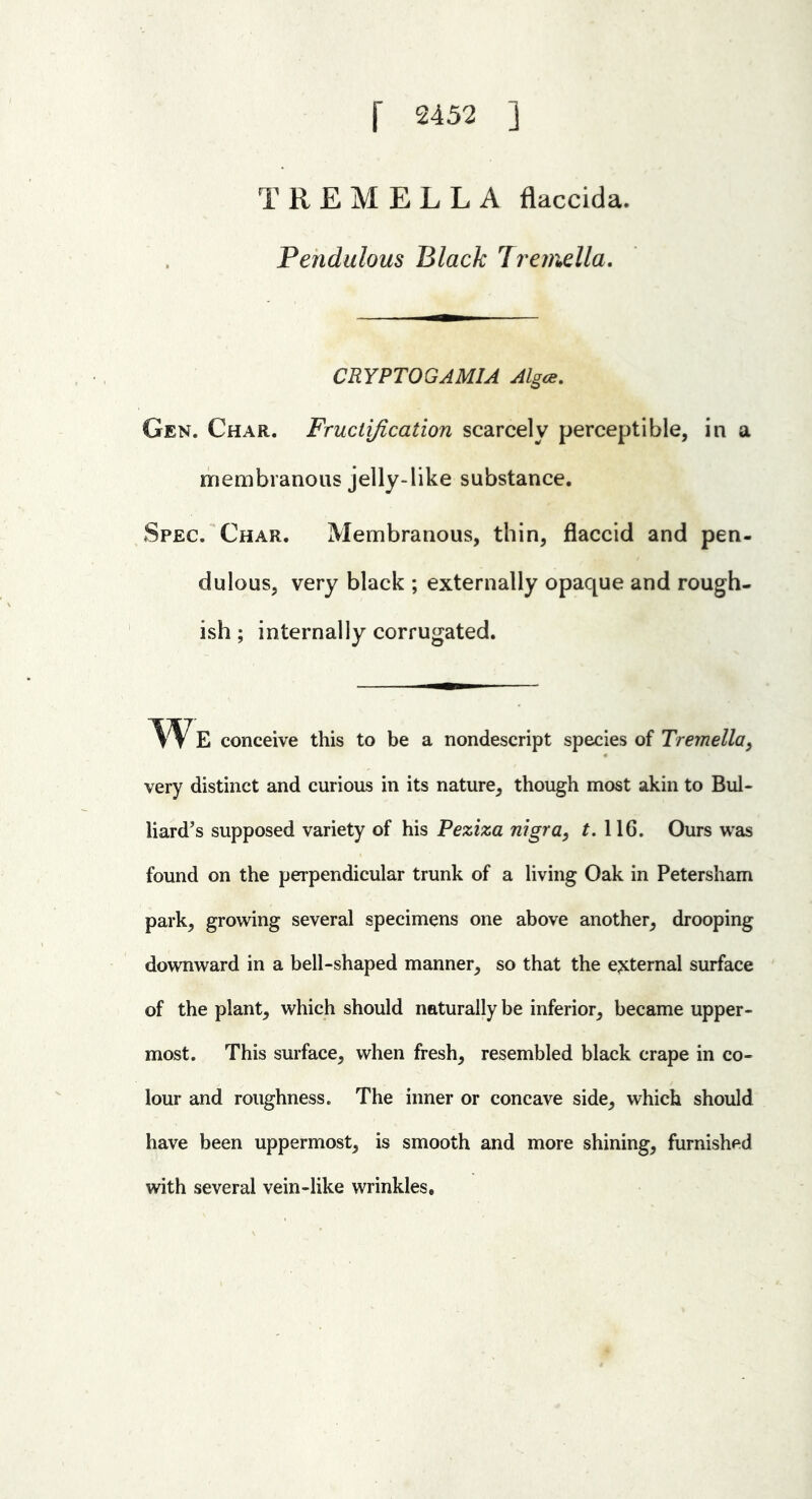 [ 2452 ] TREMELLA flaccida. Pendulous Black Jremella, CRYPTOGAMIA Algce. Gen. Char. Fructification scarcely perceptible, in a membranous jelly-like substance. Spec. Char, Membranous, thin, flaccid and pen- dulous, very black ; externally opaque and rough- ish; internally corrugated. We conceive this to be a nondescript species of Tremella^ very distinct and curious in its nature, though most akin to Bul- liard's supposed variety of his Peziza nigra, t, 116. Ours was found on the perpendicular trunk of a living Oak in Petersham park, growing several specimens one above another, drooping downward in a bell-shaped manner, so that the external surface of the plant, which should naturally be inferior, became upper- most. This surface, when fresh, resembled black crape in co- lour and roughness. The inner or concave side, which should have been uppermost, is smooth and more shining, furnished with several vein-like wrinkles.