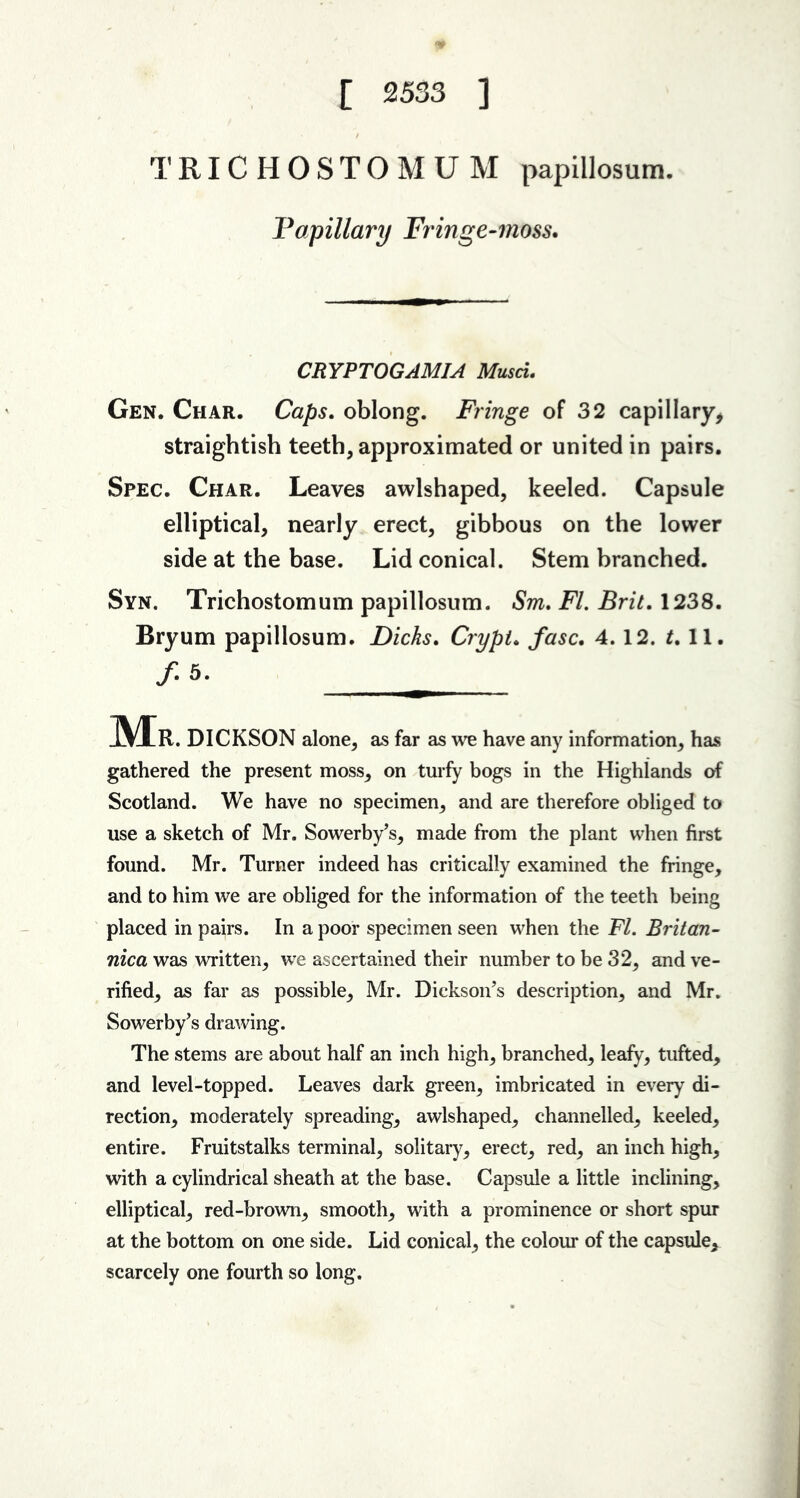 [ 2533 ] TRICHOSTOMUM papillosum. Tapillary Fringe-moss. CRYPTOGAMIA Musci. Gen. Char. Caps. oblong. Fringe of 32 capillary, straightish teeth, approximated or united in pairs. Spec. Char. Leaves awlshaped, keeled. Capsule elliptical, nearly erect, gibbous on the lower side at the base. Lid conical. Stem branched. Syn. Trichostomum papillosum. Sm. FI. Brit. 1238. Bryum papillosum. Dicks. Crypt. fasc. 4.12. $.11. f 5. 1YLR . DICKSON alone, as far as we have any information, has gathered the present moss, on turfy bogs in the Highlands of Scotland. We have no specimen, and are therefore obliged to use a sketch of Mr. Sowerby’s, made from the plant when first found. Mr. Turner indeed has critically examined the fringe, and to him we are obliged for the information of the teeth being placed in pairs. In a poor specimen seen when the FI. Britan- nica was written, we ascertained their number to be 32, and ve- rified, as far as possible, Mr. Dickson’s description, and Mr. Sowerby’s drawing. The stems are about half an inch high, branched, leafy, tufted, and level-topped. Leaves dark green, imbricated in every di- rection, moderately spreading, awlshaped, channelled, keeled, entire. Fruitstalks terminal, solitary, erect, red, an inch high, with a cylindrical sheath at the base. Capsule a little inclining, elliptical, red-brown, smooth, with a prominence or short spur at the bottom on one side. Lid conical, the colour of the capsule, scarcely one fourth so long.